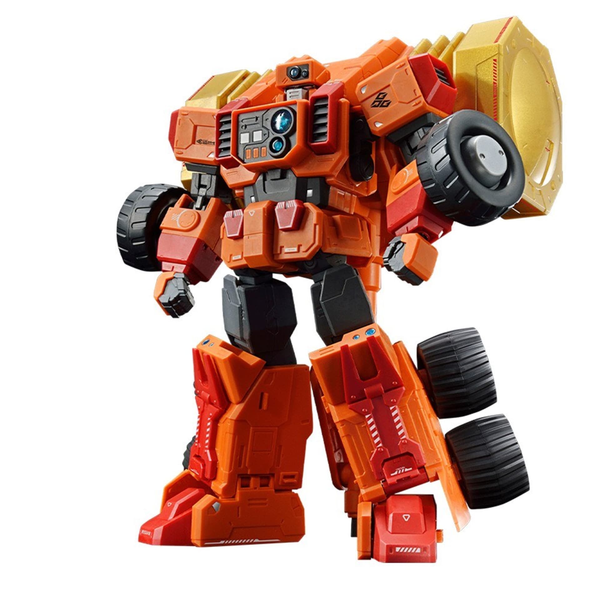 

RG GOLDYMARG