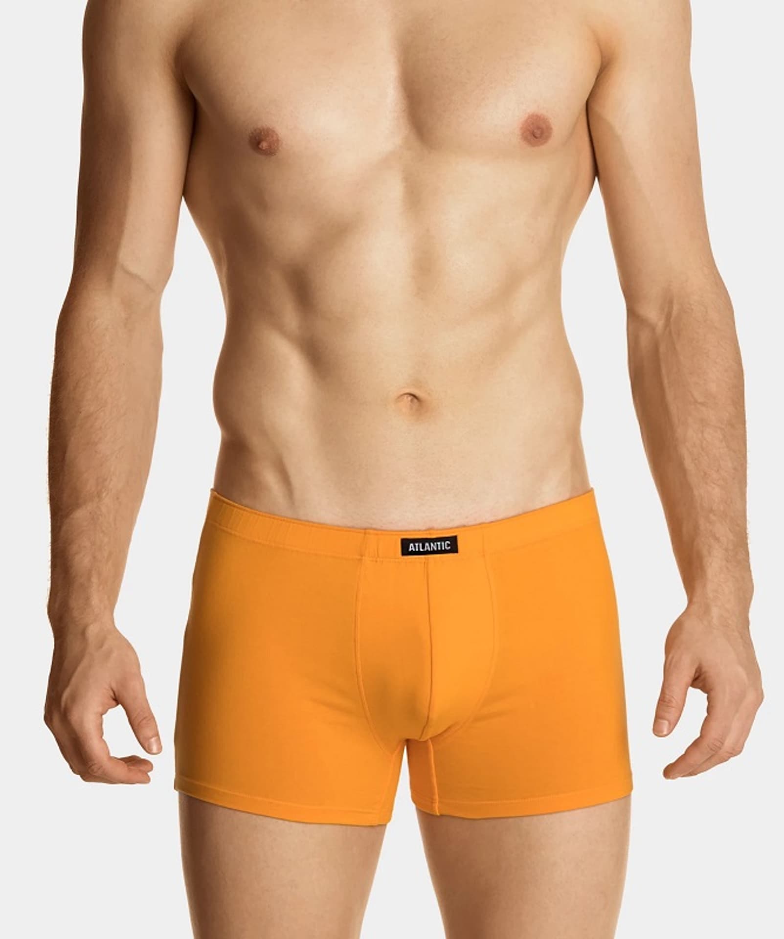 

SZORTY ATLANTIC 5SMH-002 WL23 (kolor khaki, rozmiar M)