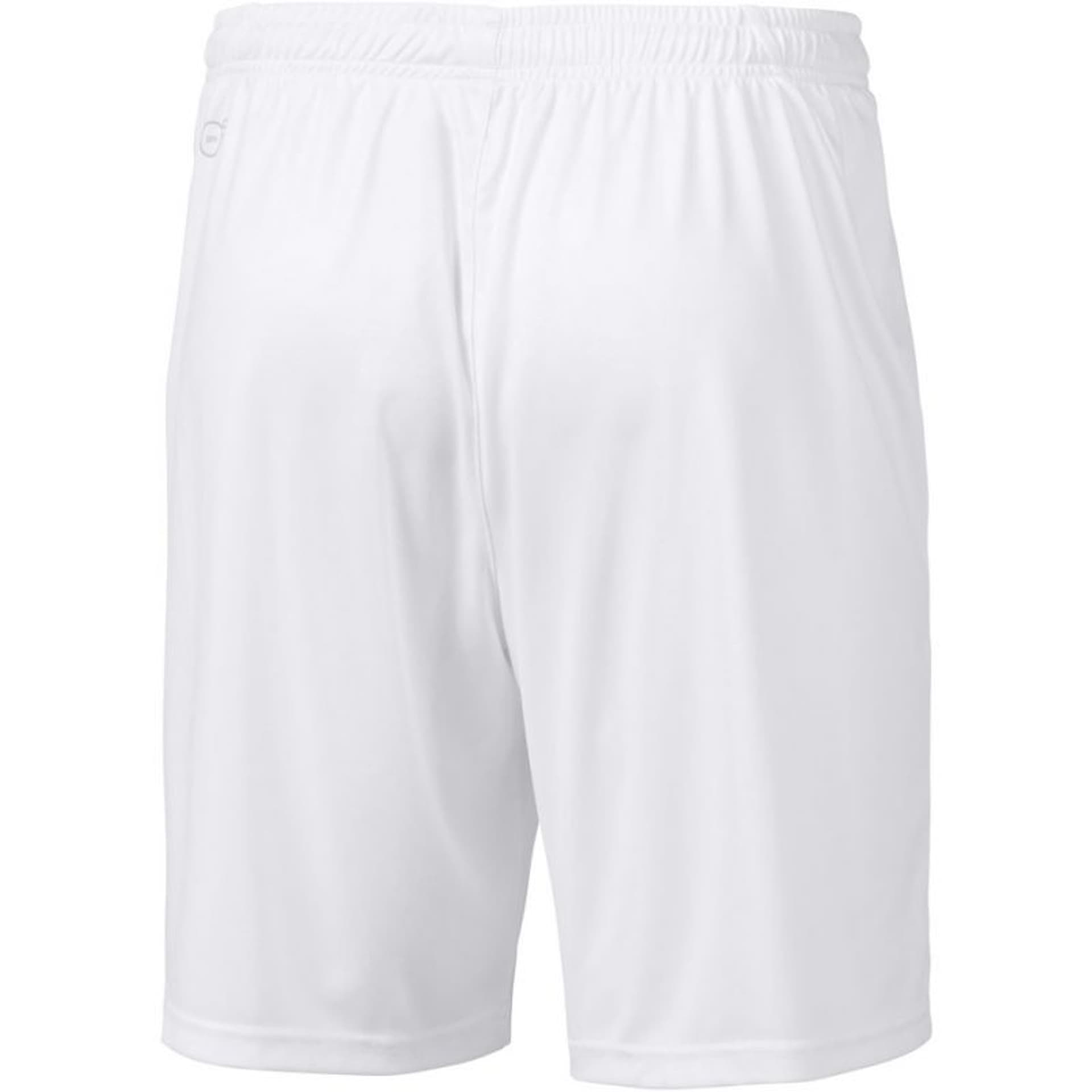 

Spodenki Puma Liga Core M 703436 (kolor Biały, rozmiar M)