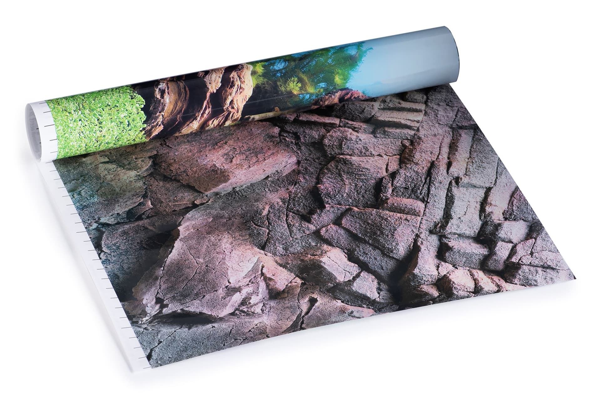 

Juwel Fototapeta / Poster 1 L