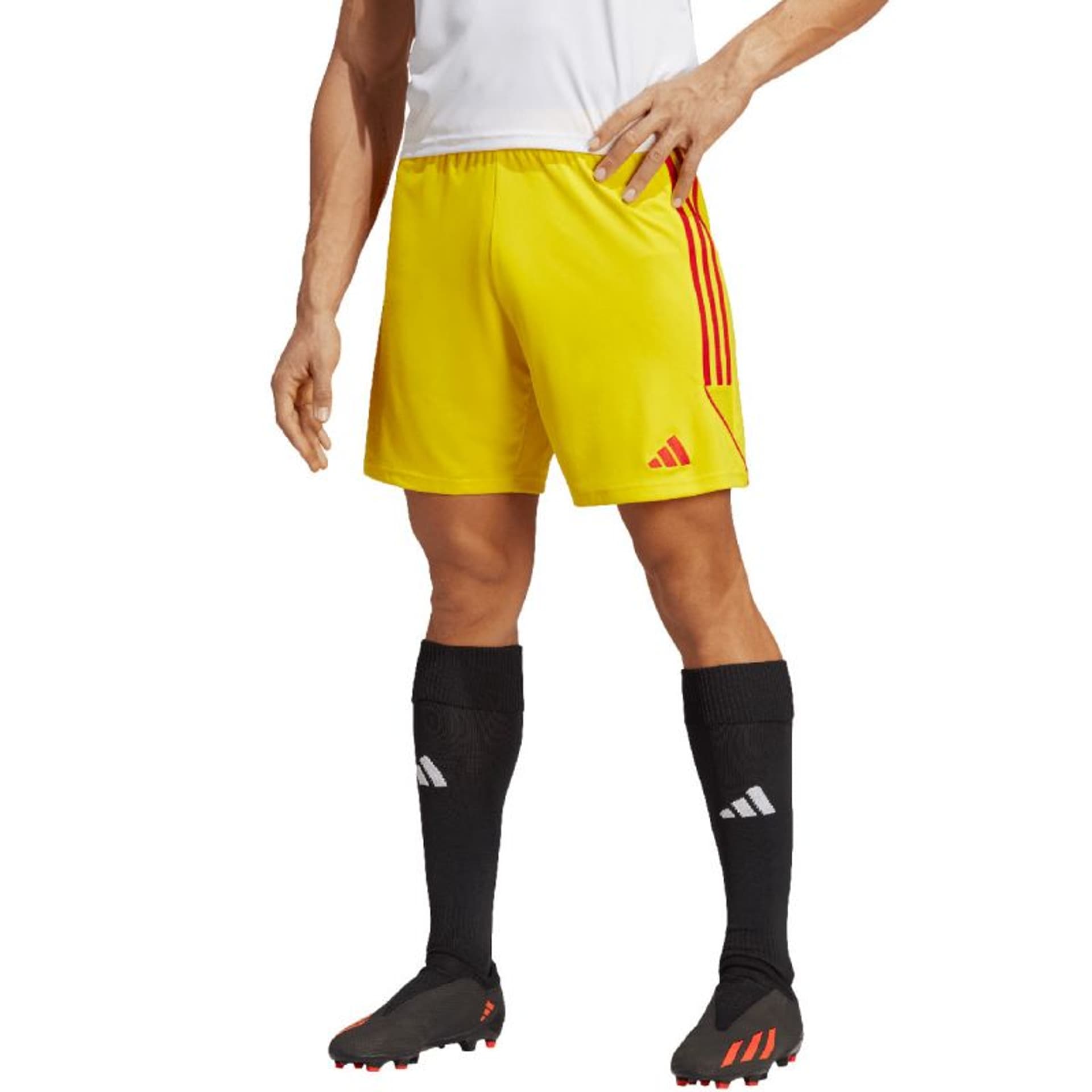 

Spodenki adidas Tiro 23 League M (kolor Żółty, rozmiar M)