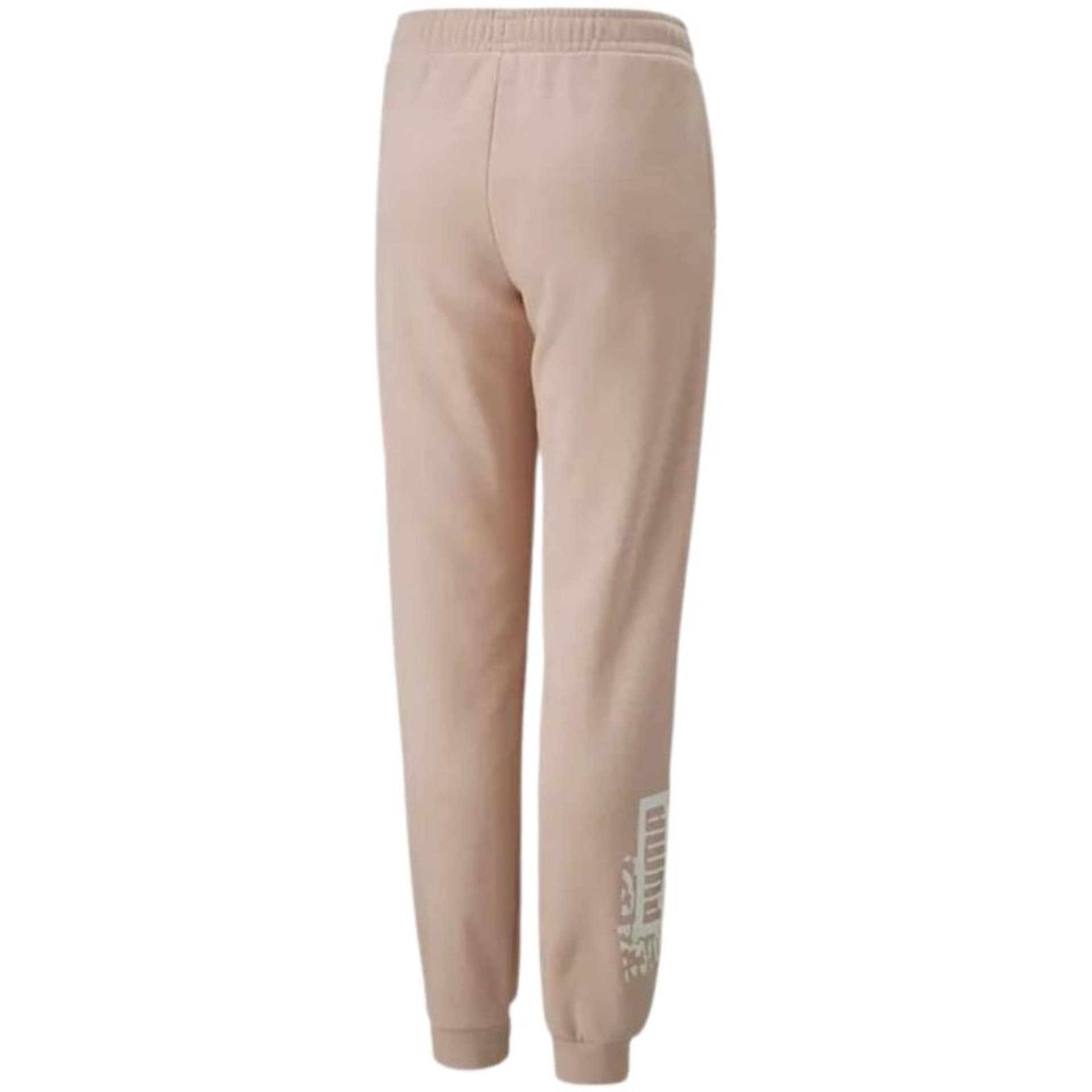 

Spodnie Puma Alpha Sweatpants FL cL G Jr 670222 (kolor Różowy, rozmiar 140cm)
