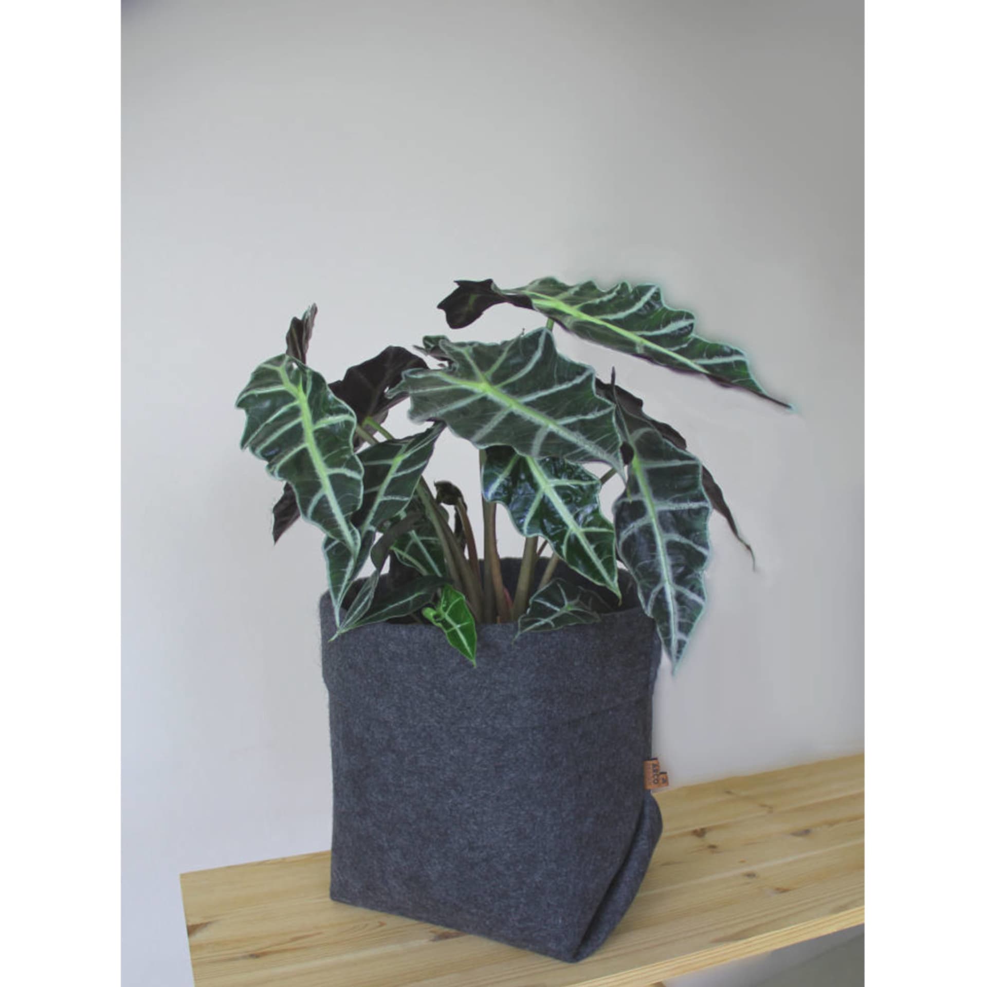 

BERTONI EE Osłonka na doniczkę Simple XL - 25 cm