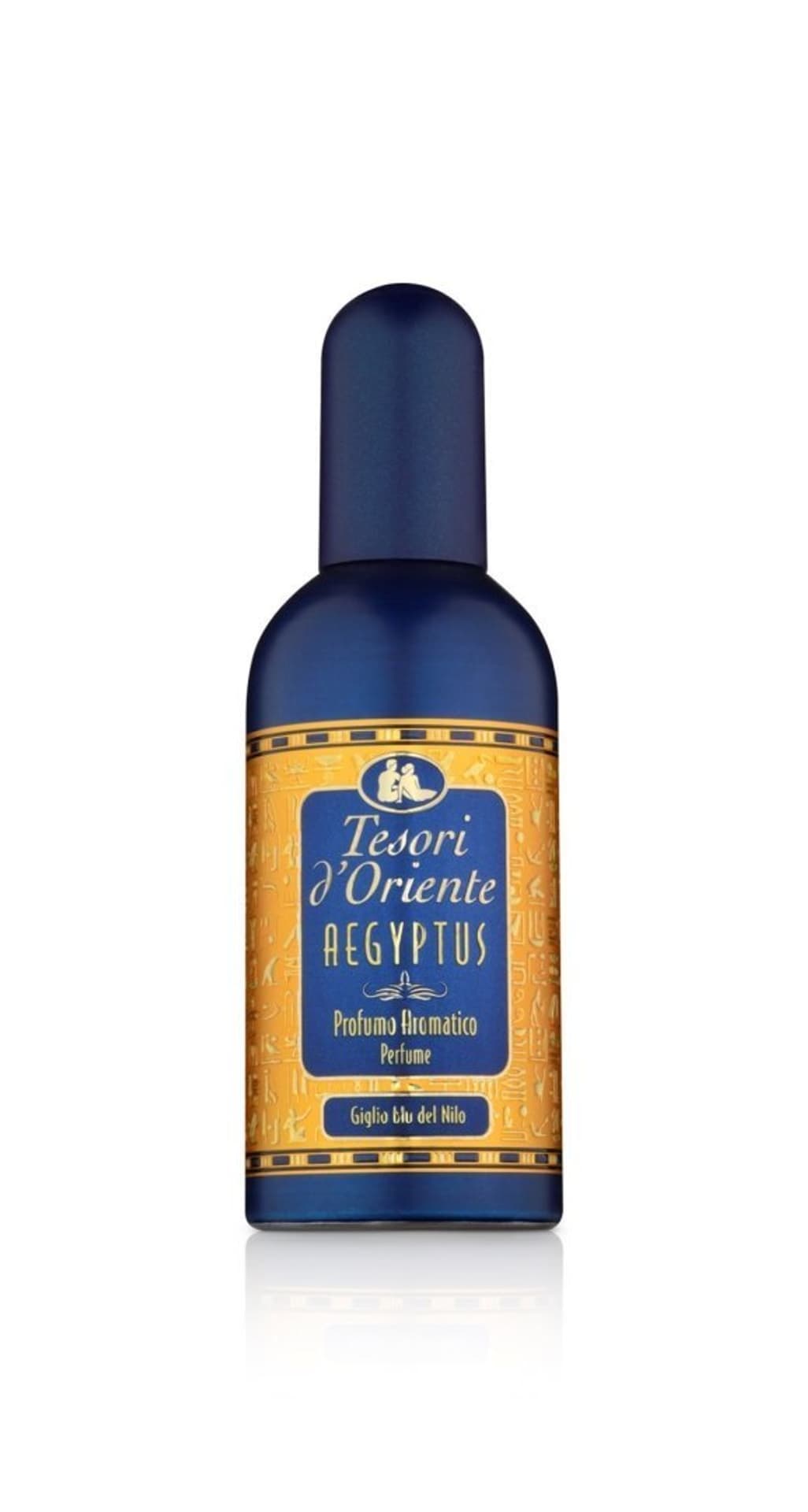 

Tesori d´Oriente Aegyptus EDP 100ml (W)