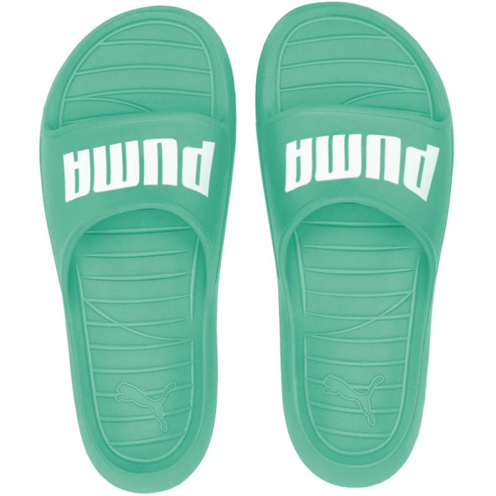 

Klapki Puma Divecat v2 374823 (kolor Zielony, rozmiar 39)