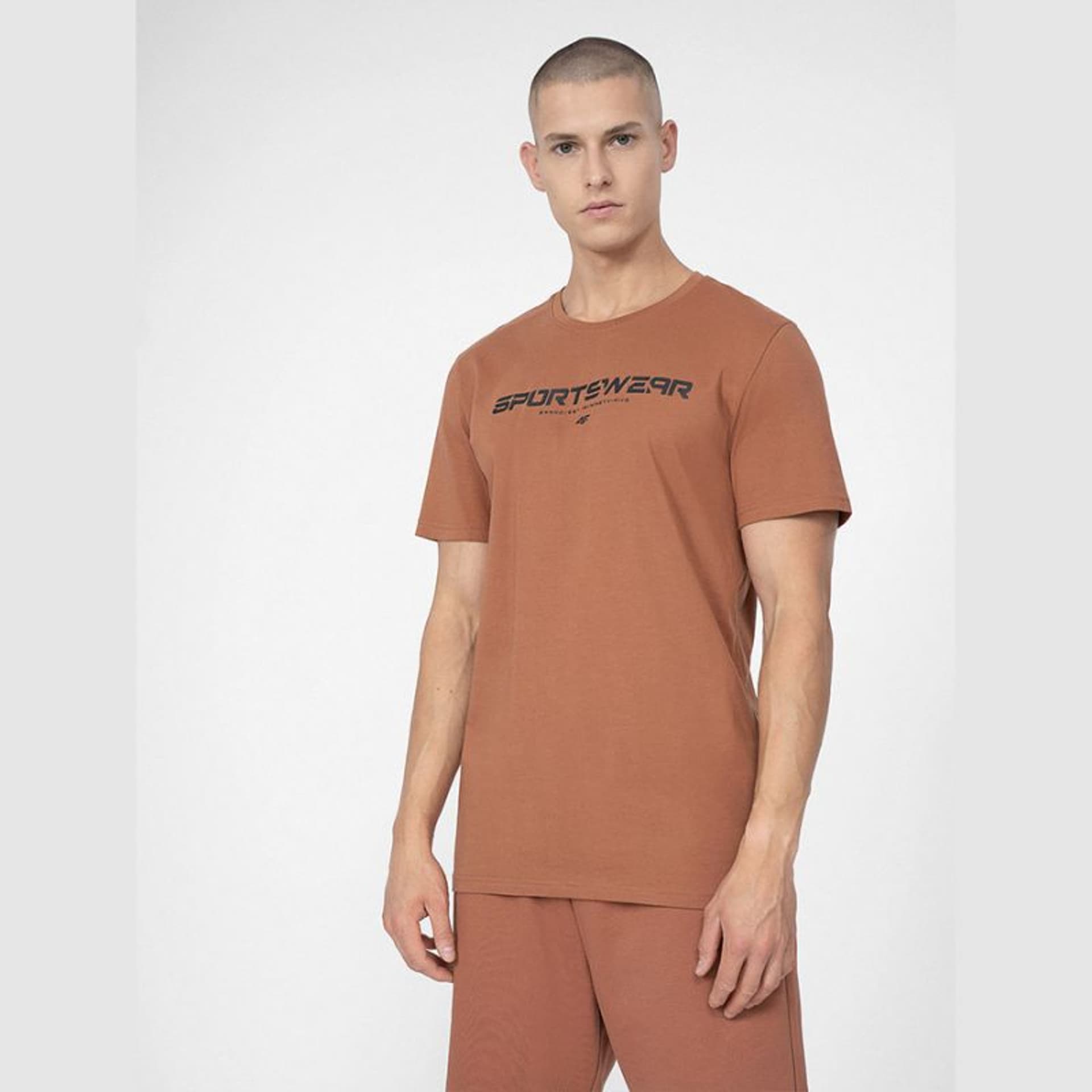 

Koszulka 4F M 4FSS23TTSHM364 (kolor Brązowy, rozmiar XXXL)