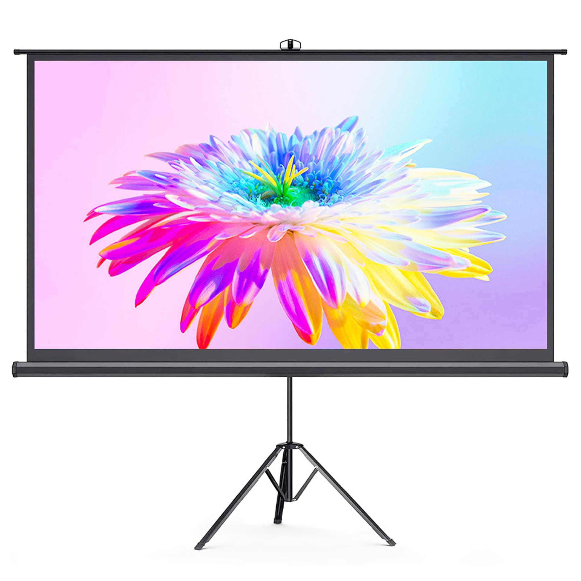 

Ekran projekcyjny zwijany na stelażu 84'' 16:9