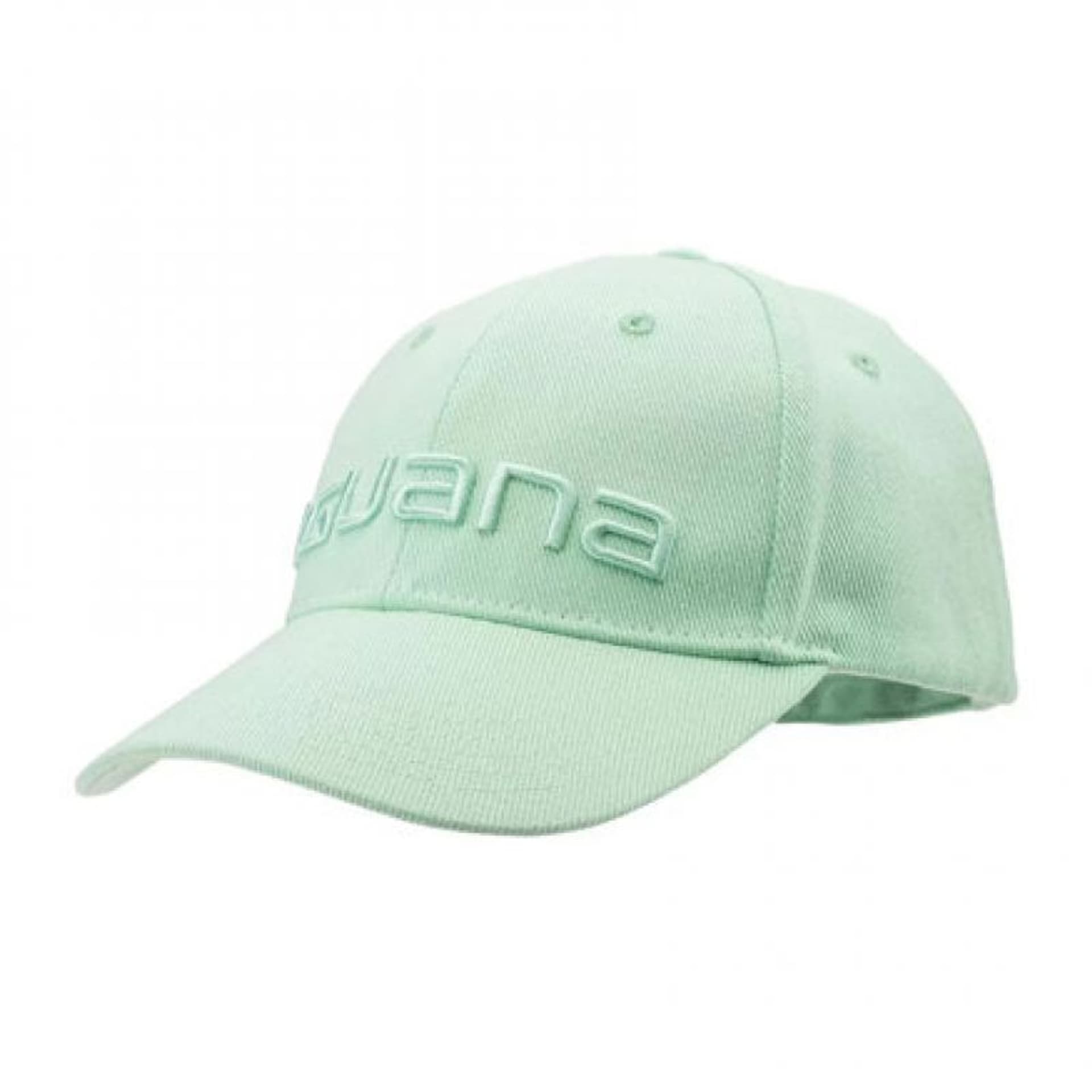 

Czapka z daszkiem Iguana Erde W 92800407121 (kolor Zielony, rozmiar, Kolor zielony/rozmiar one size