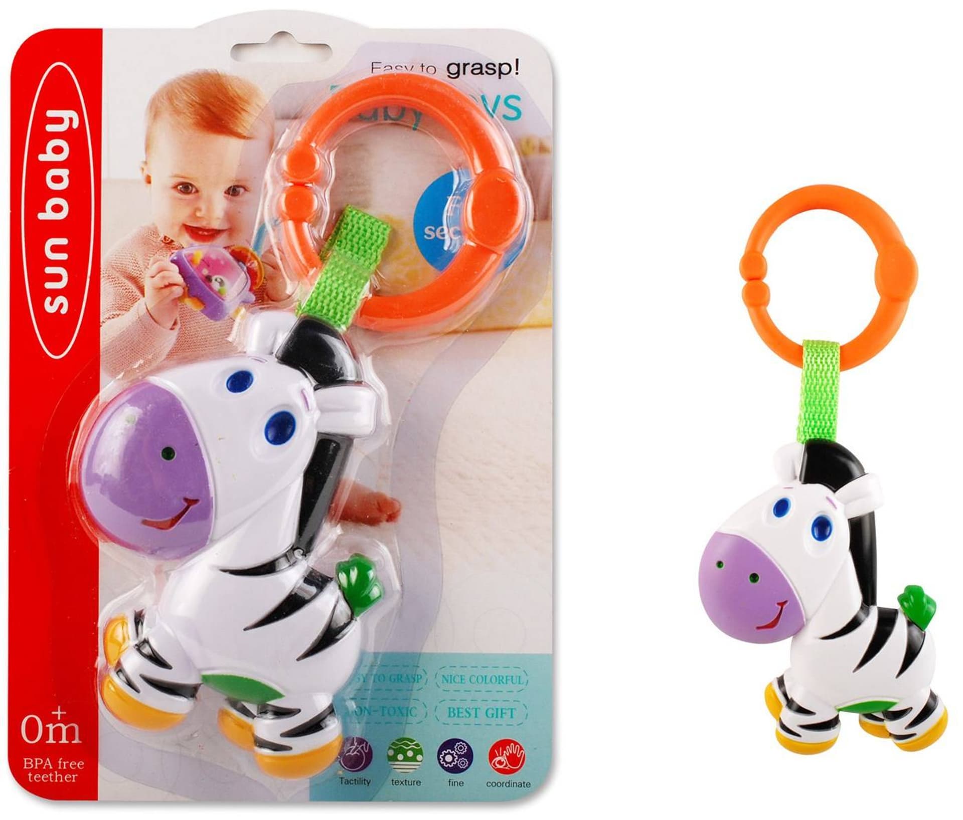 

GRZECHOTKA ZEBRA