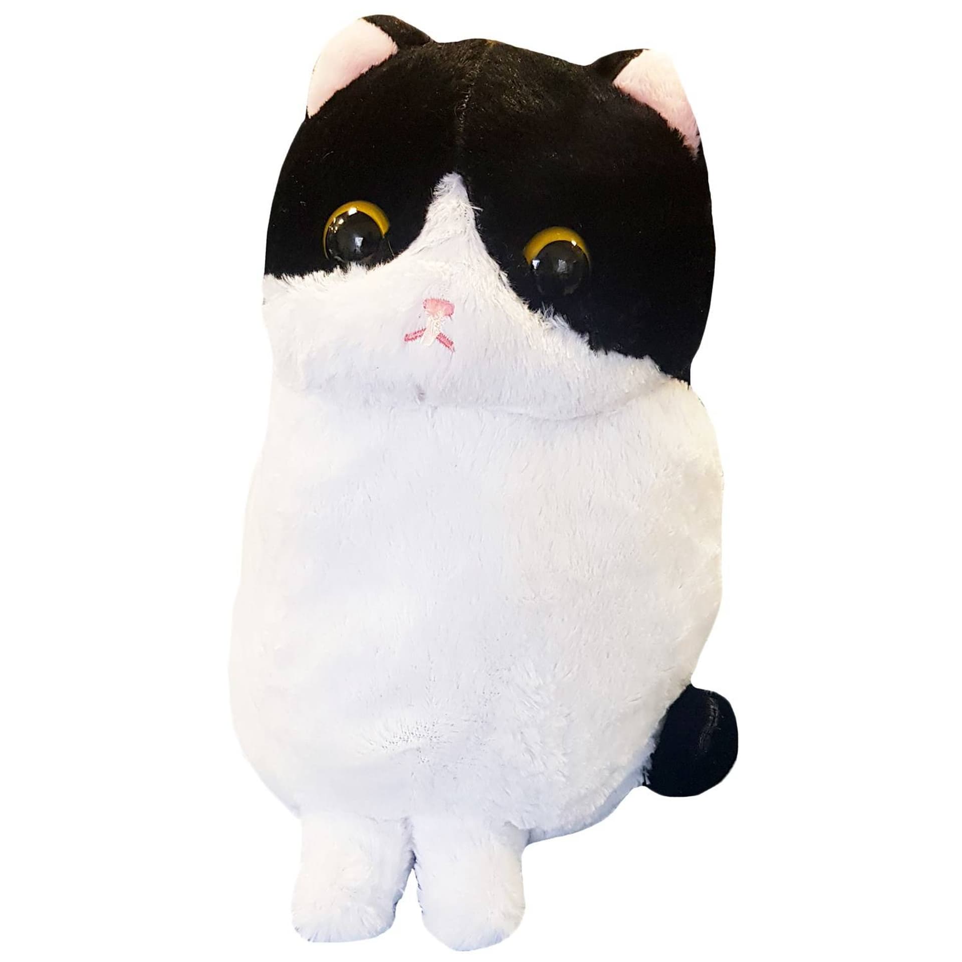 

KOT