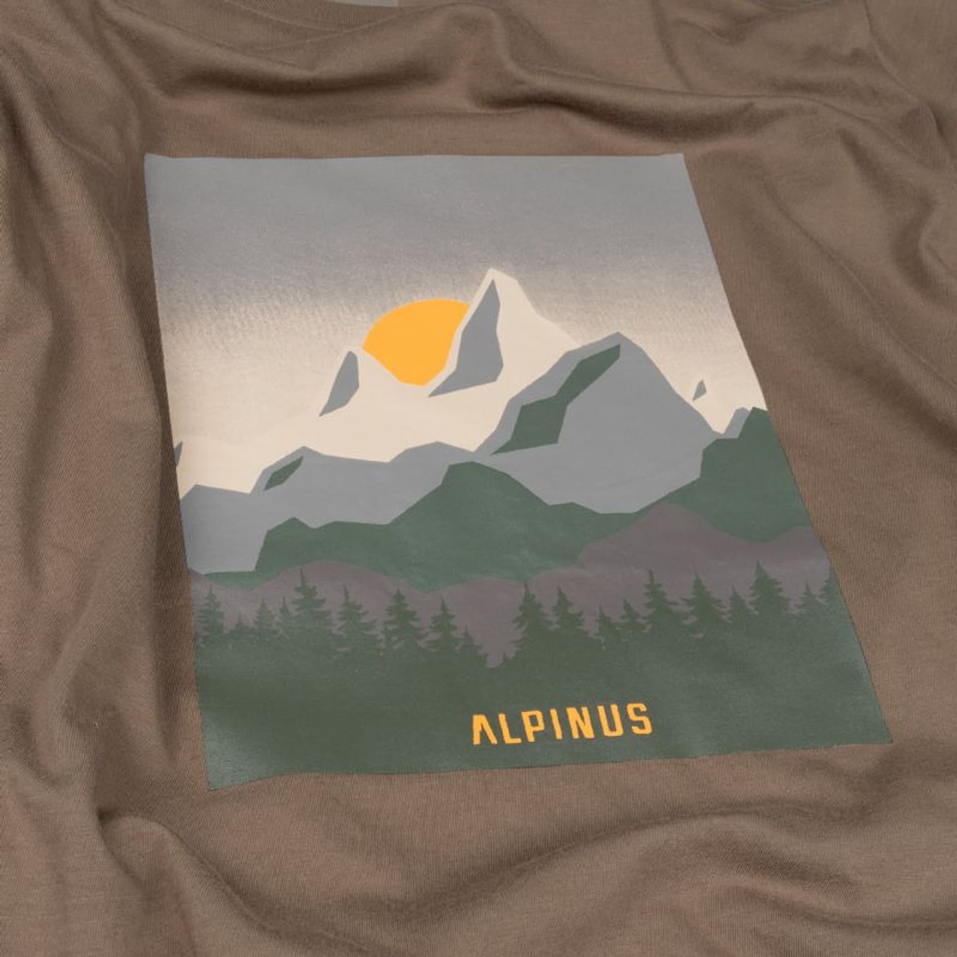 

Koszulka Alpinus Numbur M (kolor Brązowy, rozmiar XXL)