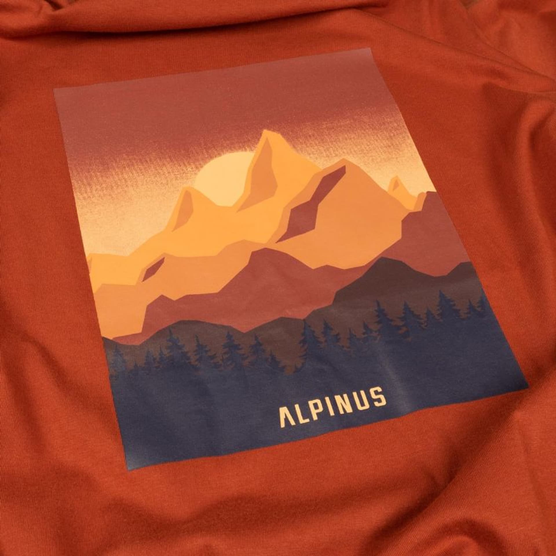 

Koszulka Alpinus Drefekal M (kolor Pomarańczowy, rozmiar M)