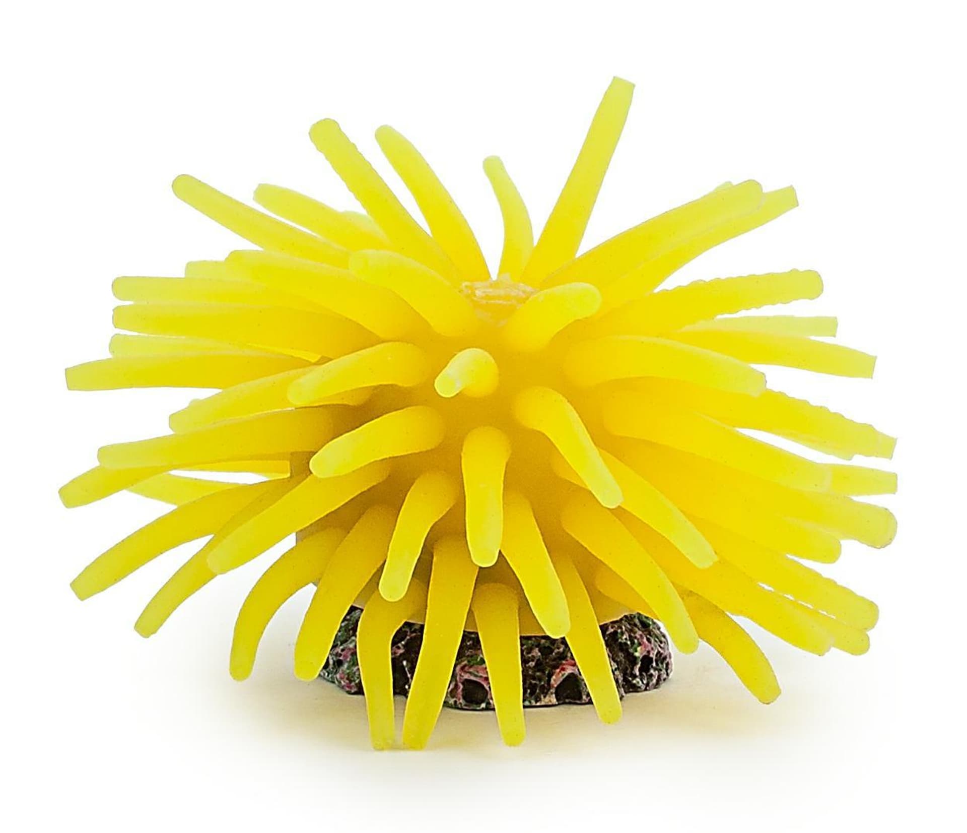 

Ozdoba akwariowa Happet R120 koral 5 cm