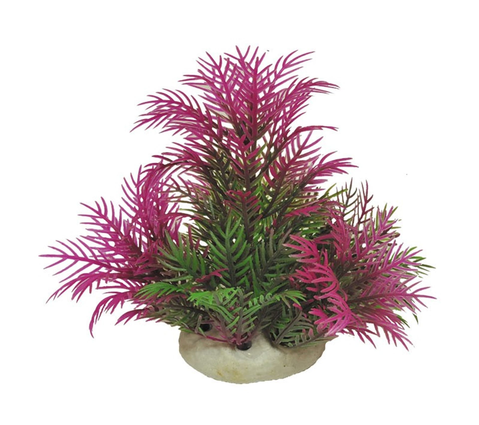 

Roślina folia Happet 0F01 mix fioletowo-zielona
