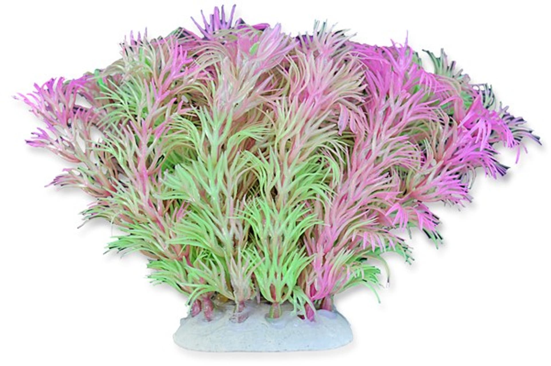 

Roślina folia 10cm 1f03 Happet