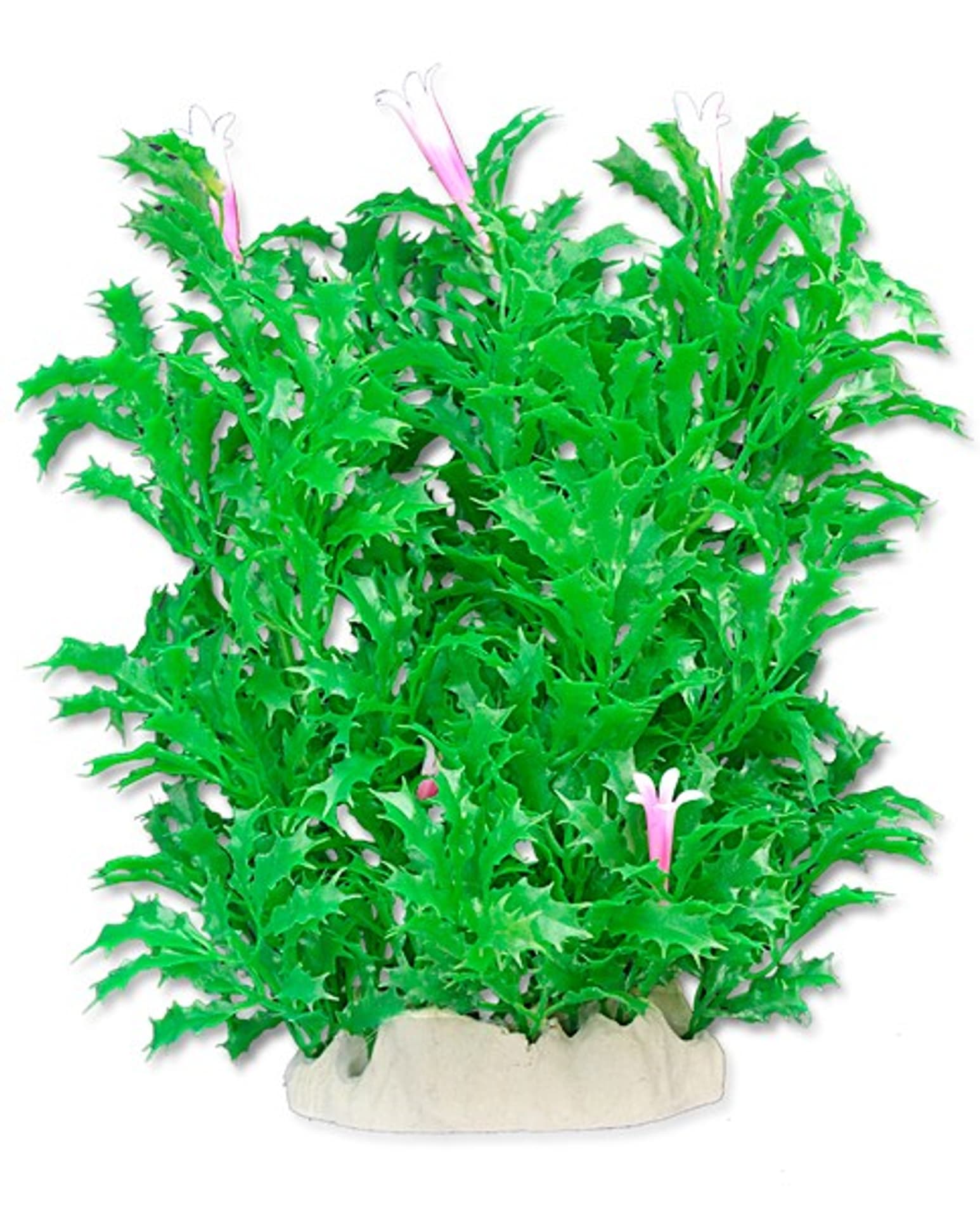 

Roślina folia 20cm 2f18 Happet