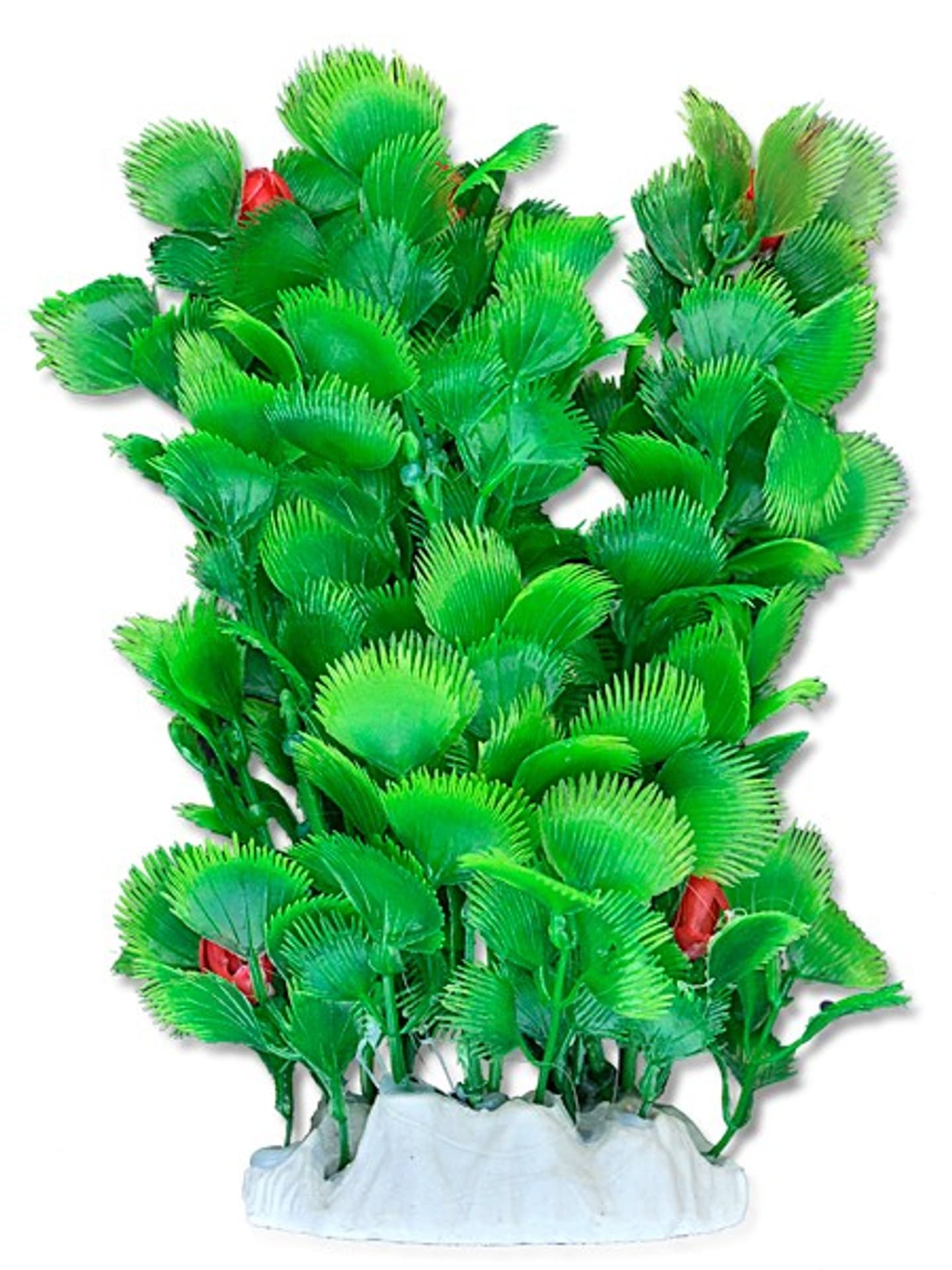 

Roślina folia 20cm 2f20 Happet