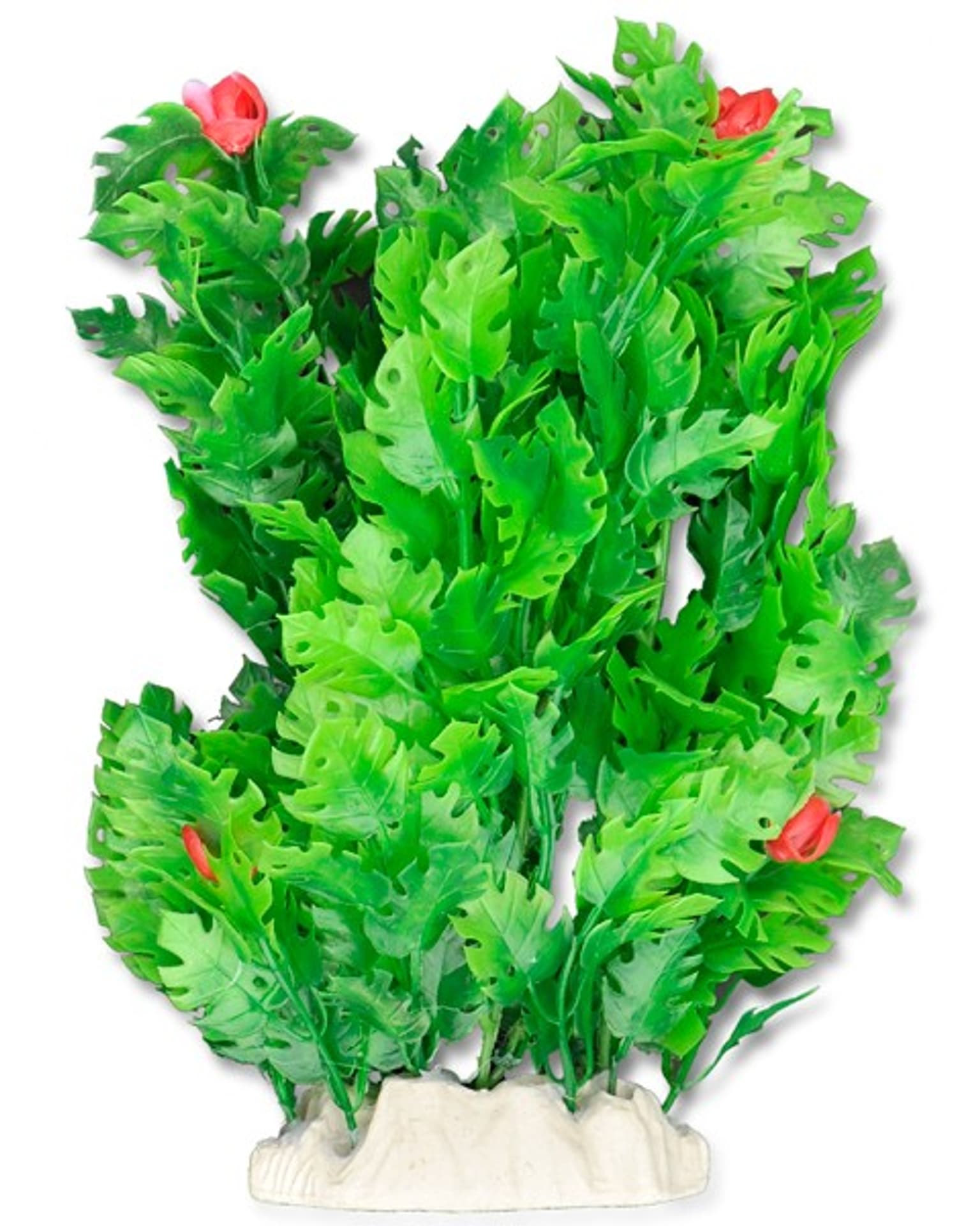 

Roślina folia 20cm 2f24 Happet