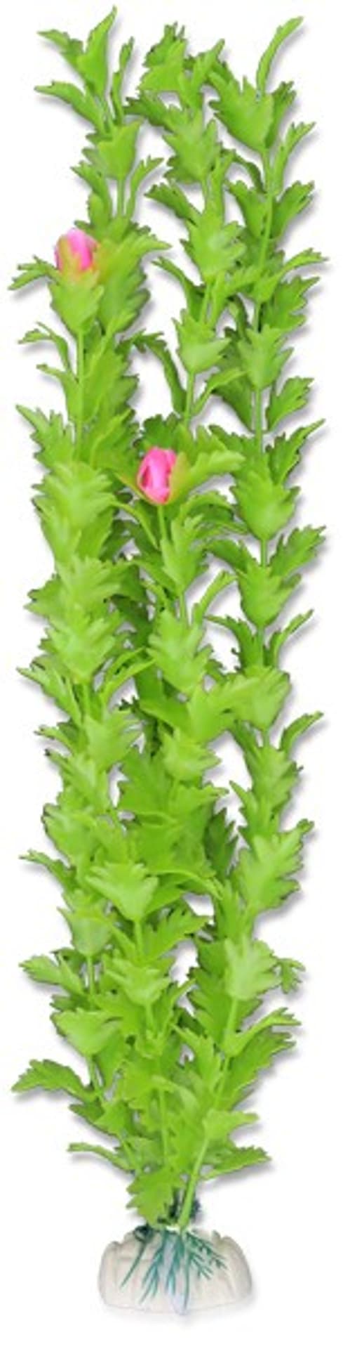 

Roślina blister 40cm 4b64 Happet