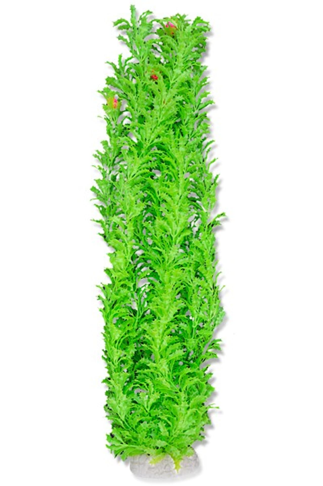 

Roślina folia 65cm 6f37 Happet