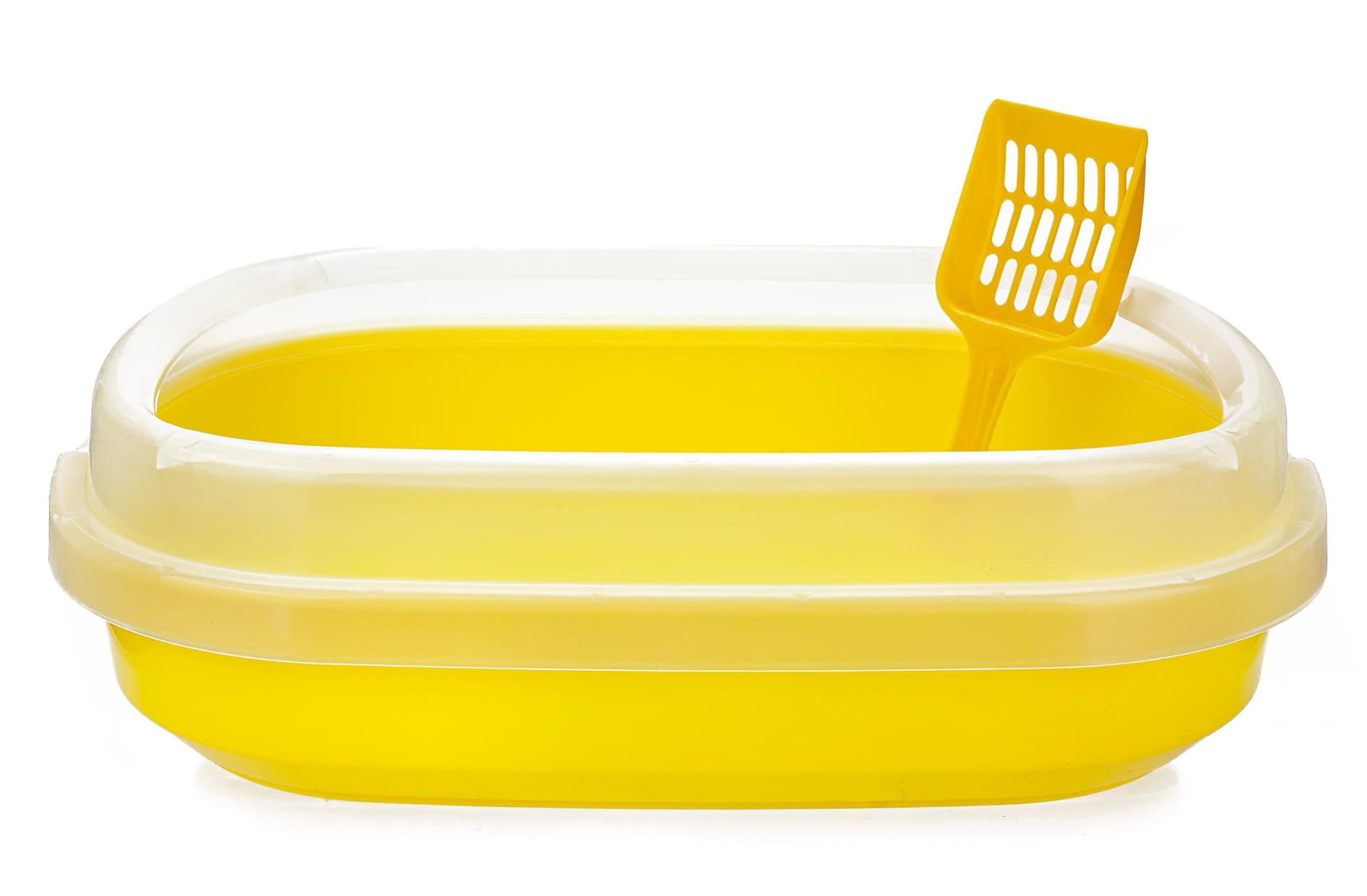 

Kuweta Polly Happet plastikowa żółta