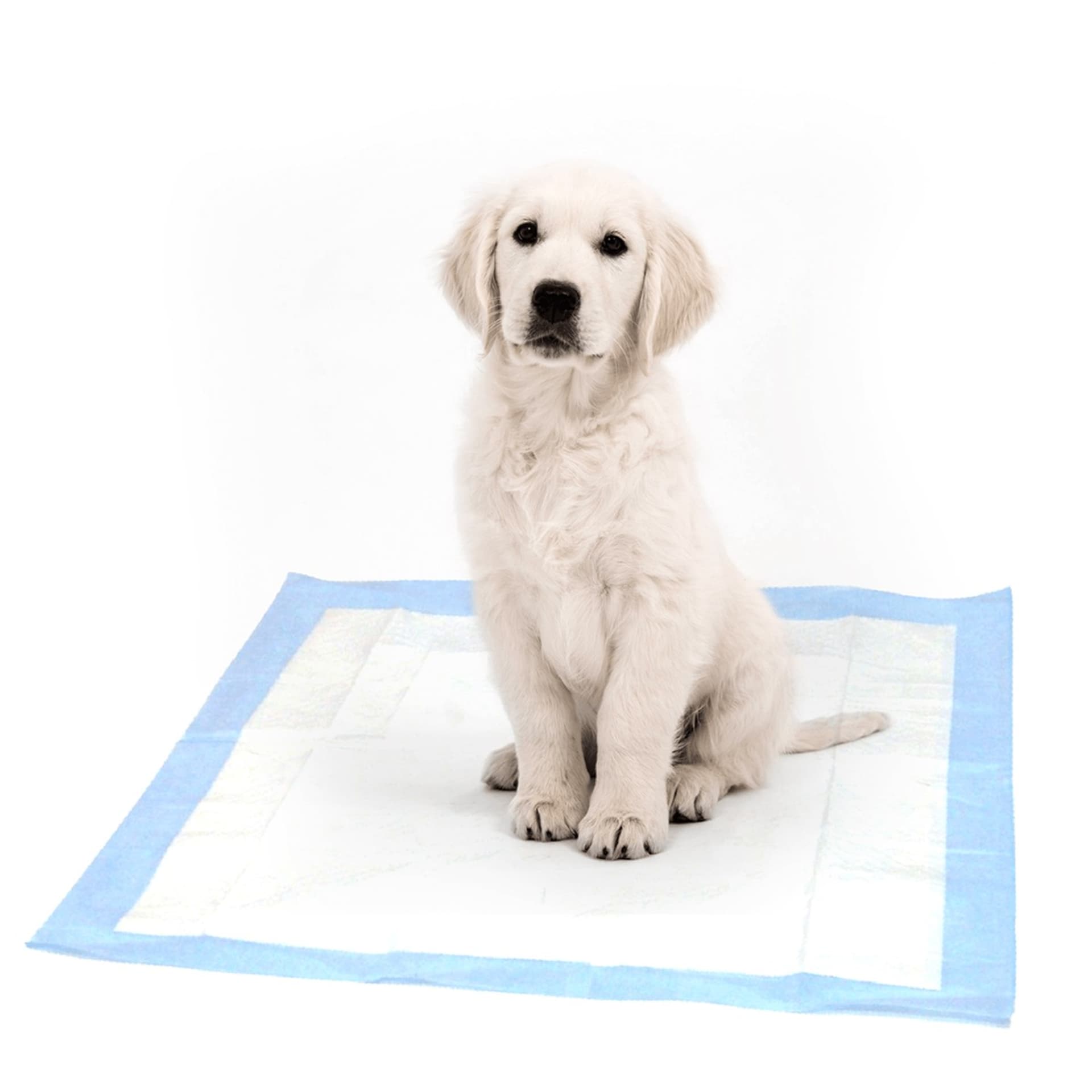 

Maty Dog Mats Happet 60x60cm 30 szt.