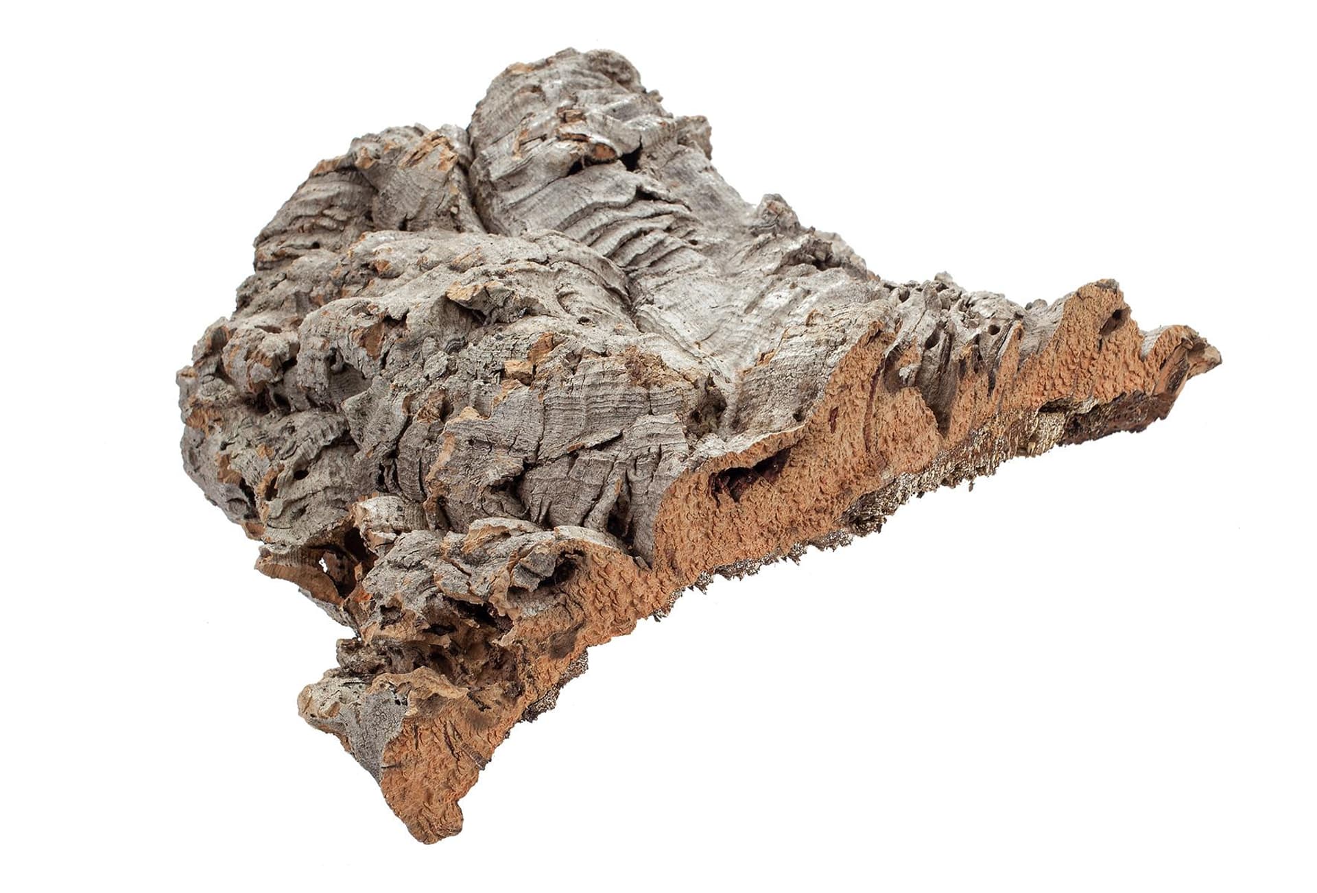 

Korek płaty 1kg
