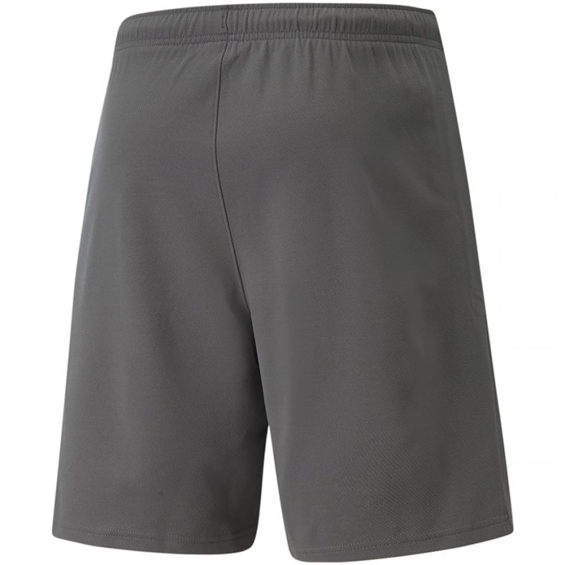 

Spodenki Puma teamRise Short Team M 704942 (kolor Szary/Srebrny, rozmiar M)
