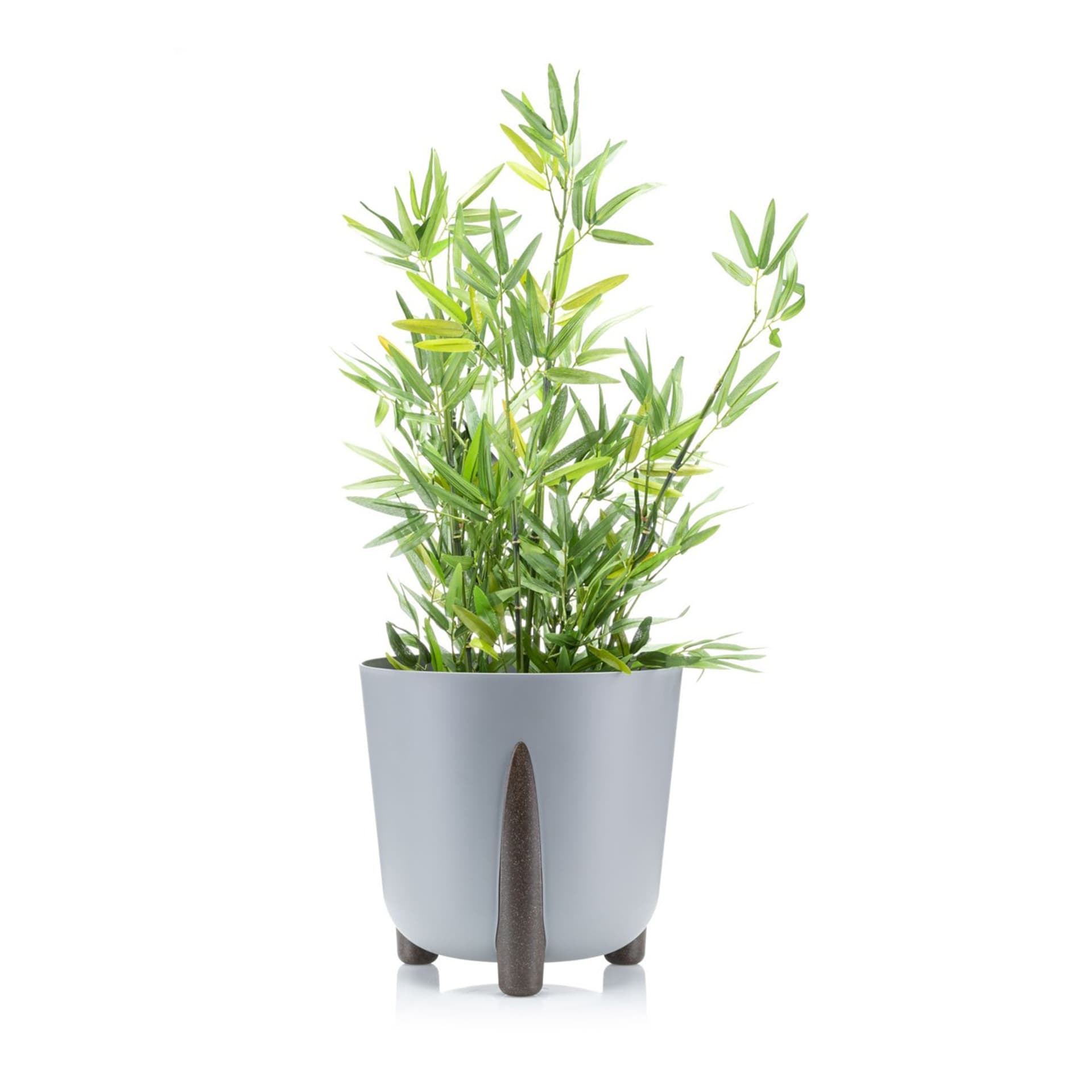 

Donica Moss szara 34xh32 cm