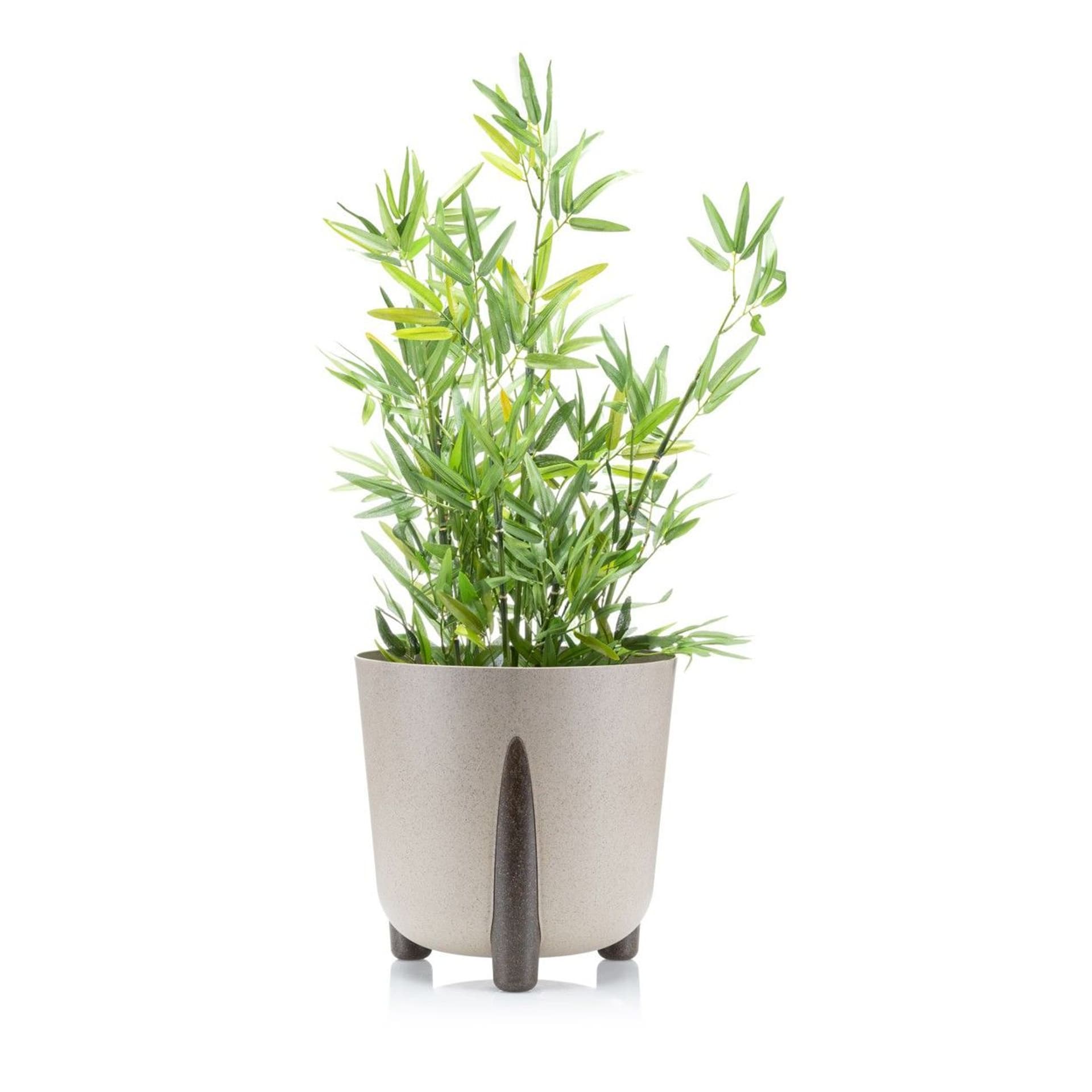 

Donica Moss ECO coffee latte 34xh32 cm