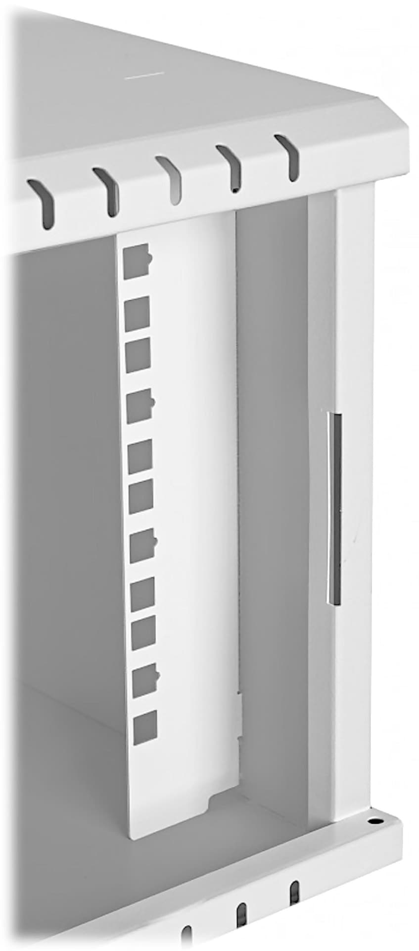 

SZAFA RACK WISZĄCA R10-4U/300-GG