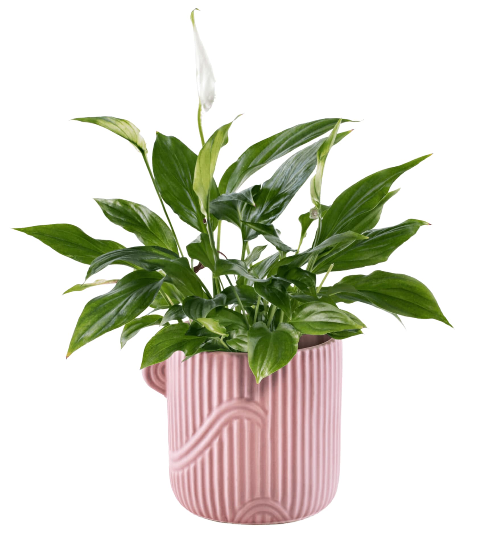 

Osłonka ceramiczna OIDO 12 cm