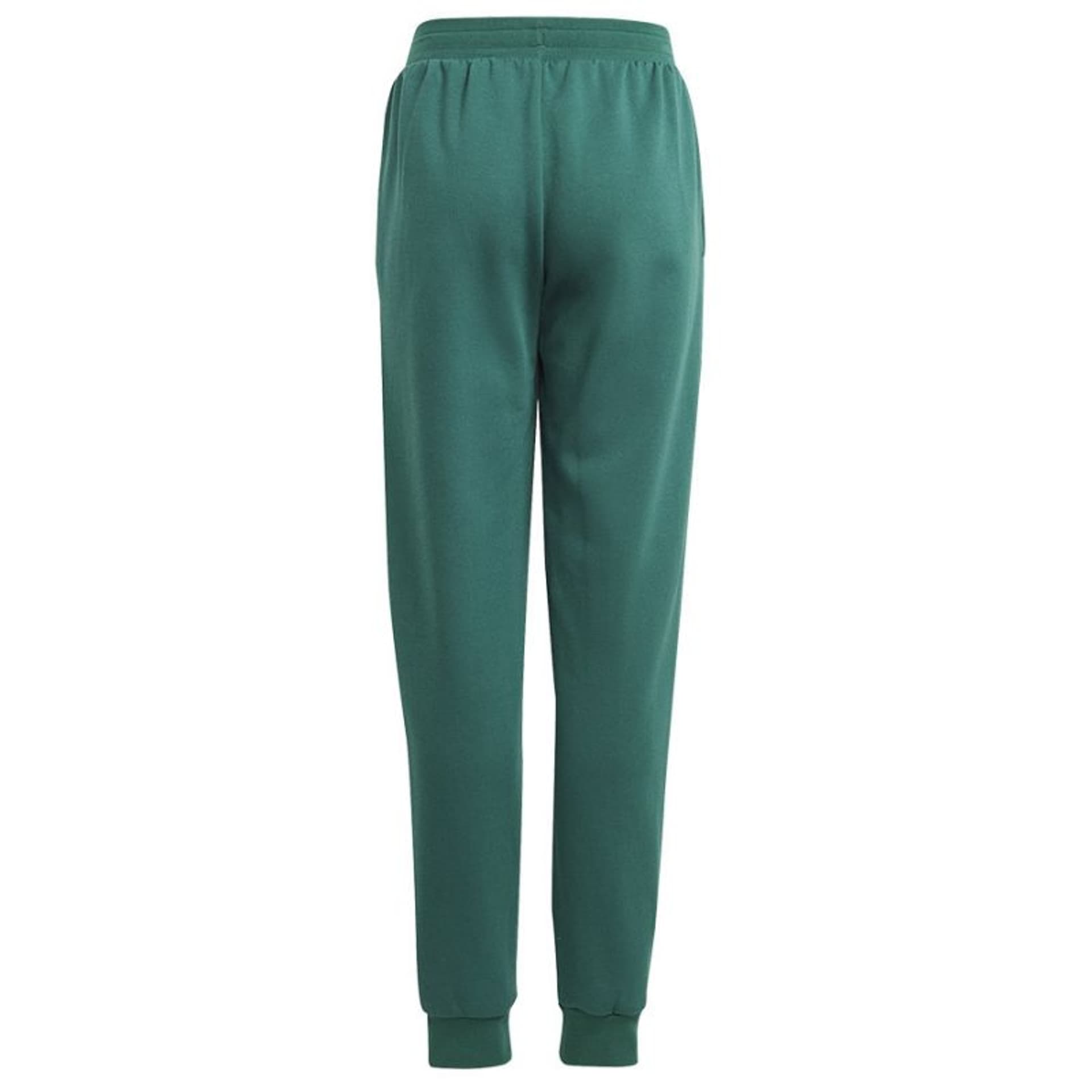 

Spodnie adidas Bluv Q3 Pant Jr (kolor Zielony