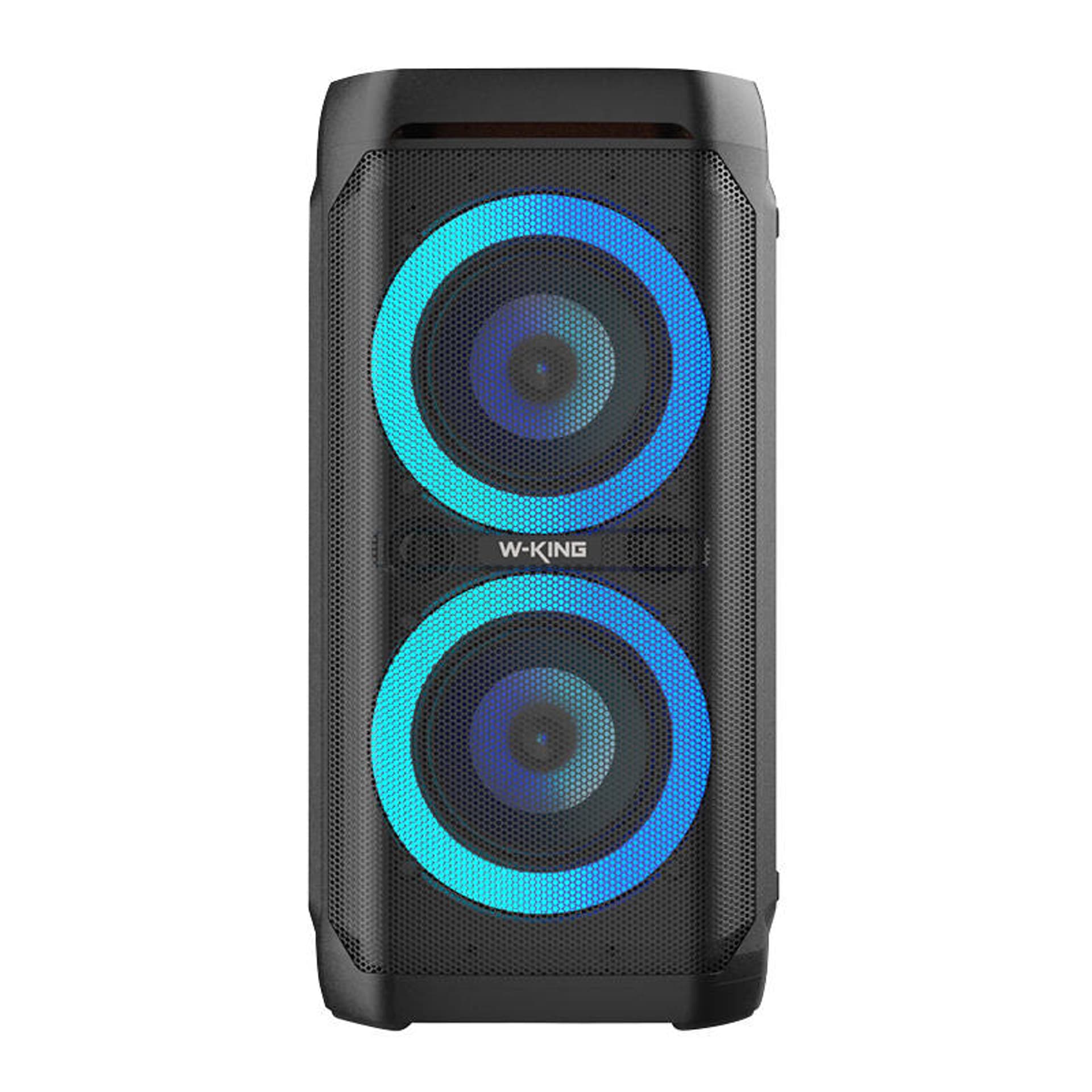 

Głośnik bezprzewodowy Bluetooth W-KING T11 100W (czarny)