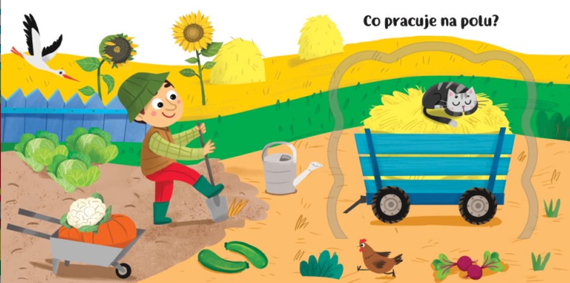 

KSIĄŻECZKA DLA DZIECI - CO KRYJĄ OKIENKA POJAZDY