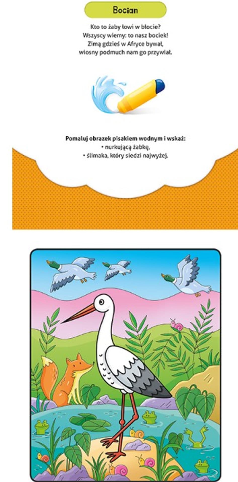 

KOLOROWANKA Z PISAKIEM WODNYM POKOLORUJ NA ŁĄCE
