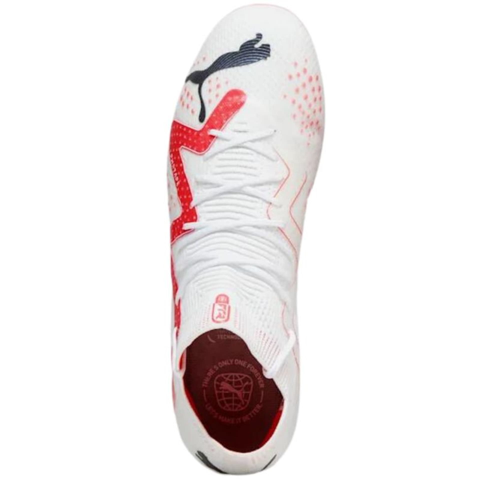 

Buty piłkarskie Puma Future Ultimate FG/AG M 107355 (kolor Biały, rozmiar 43)