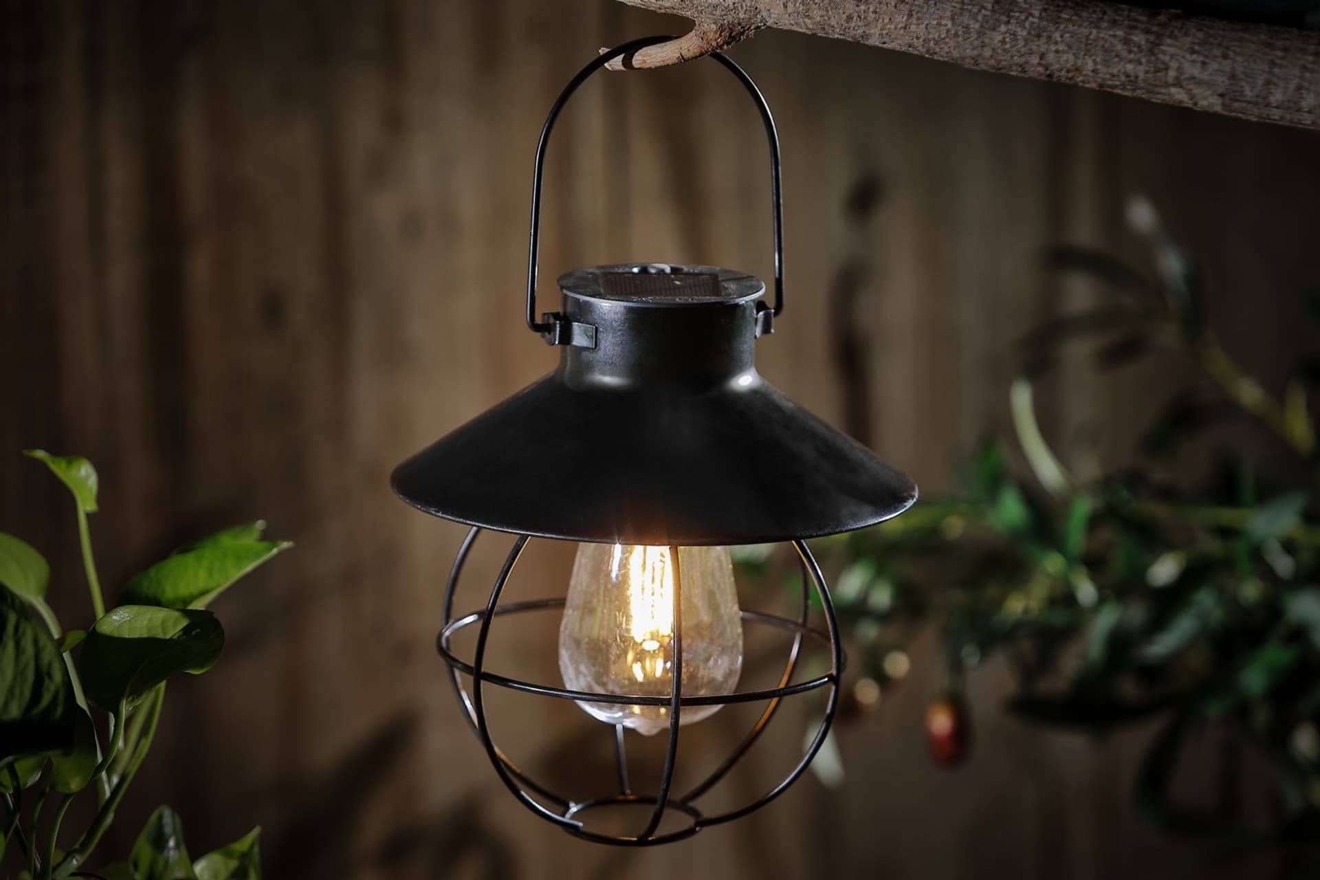 

Lampion solarny LED Activejet AJE-WISTERIA
