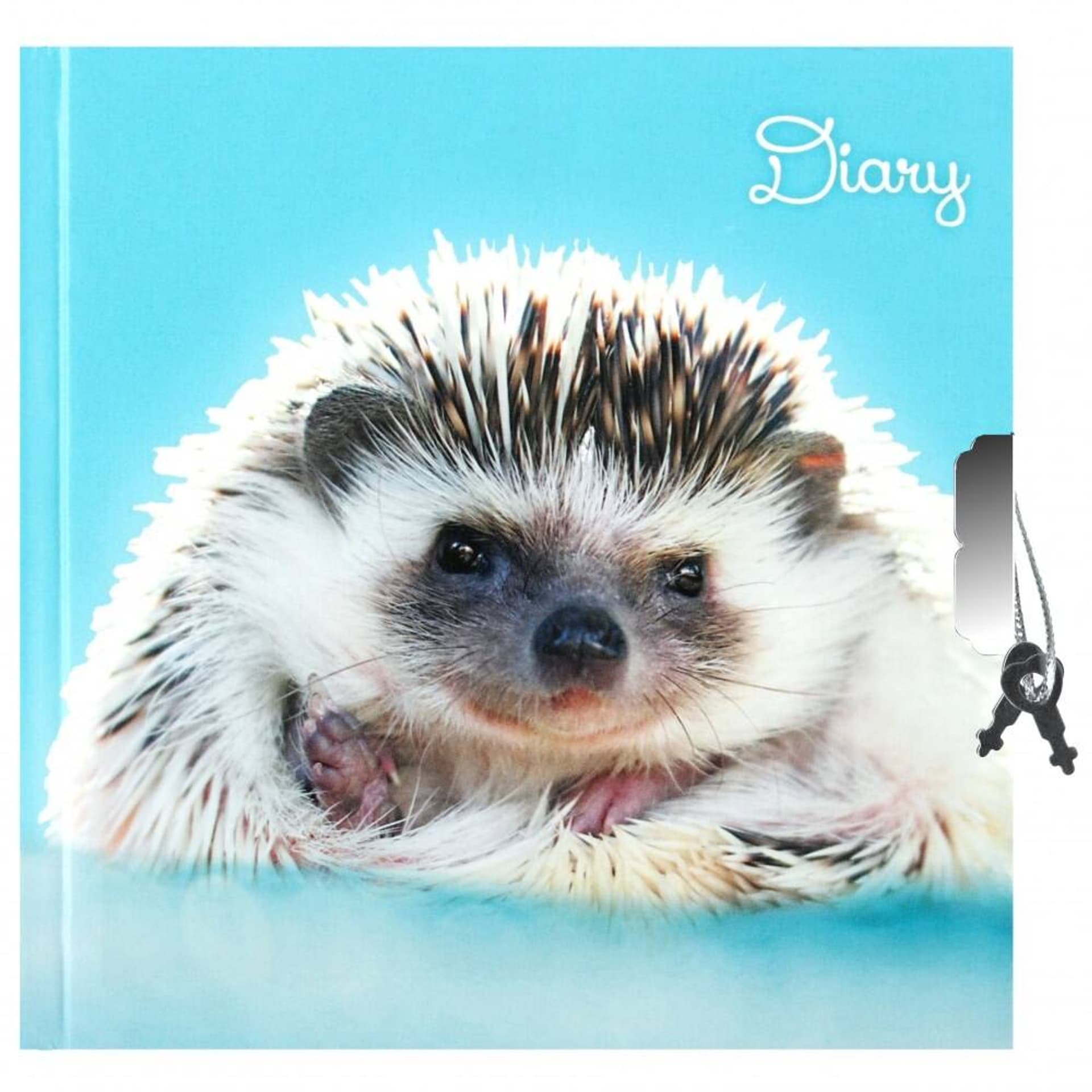 

Pamiętnik zamykany Jeż STARPAK 495199
