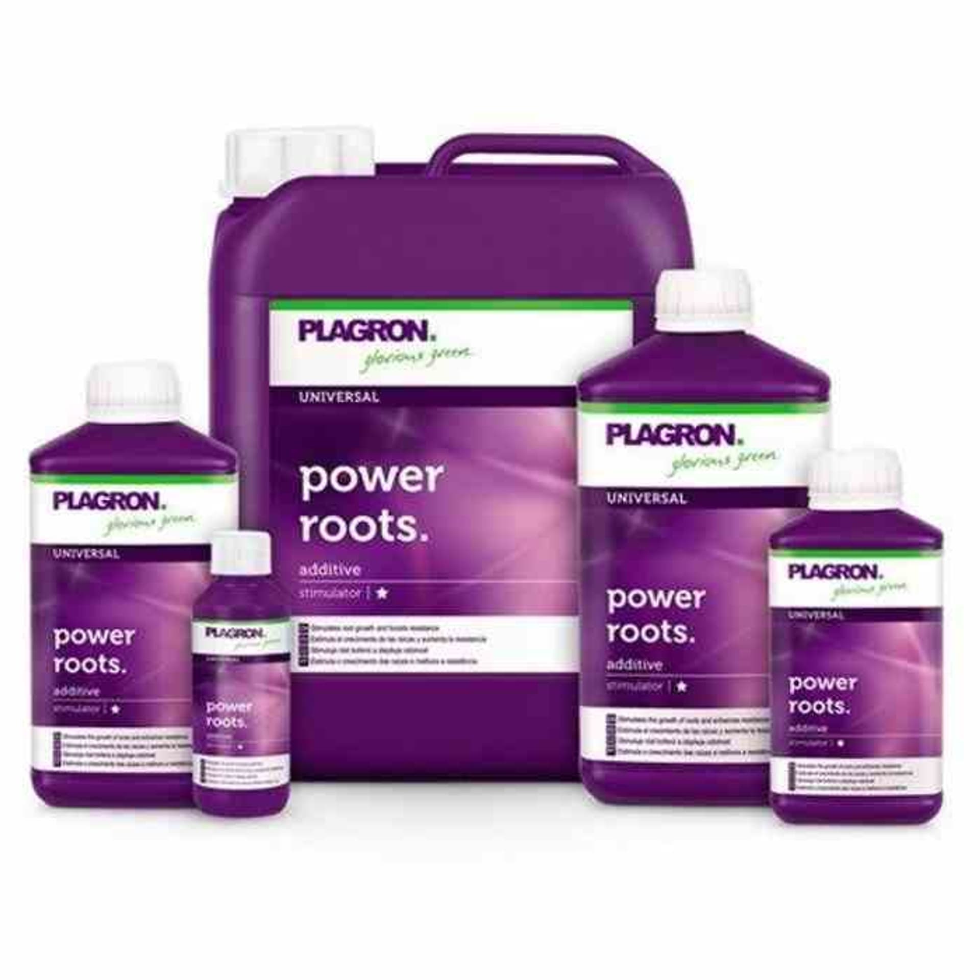 

PLAGRON POWER ROOTS 100ML