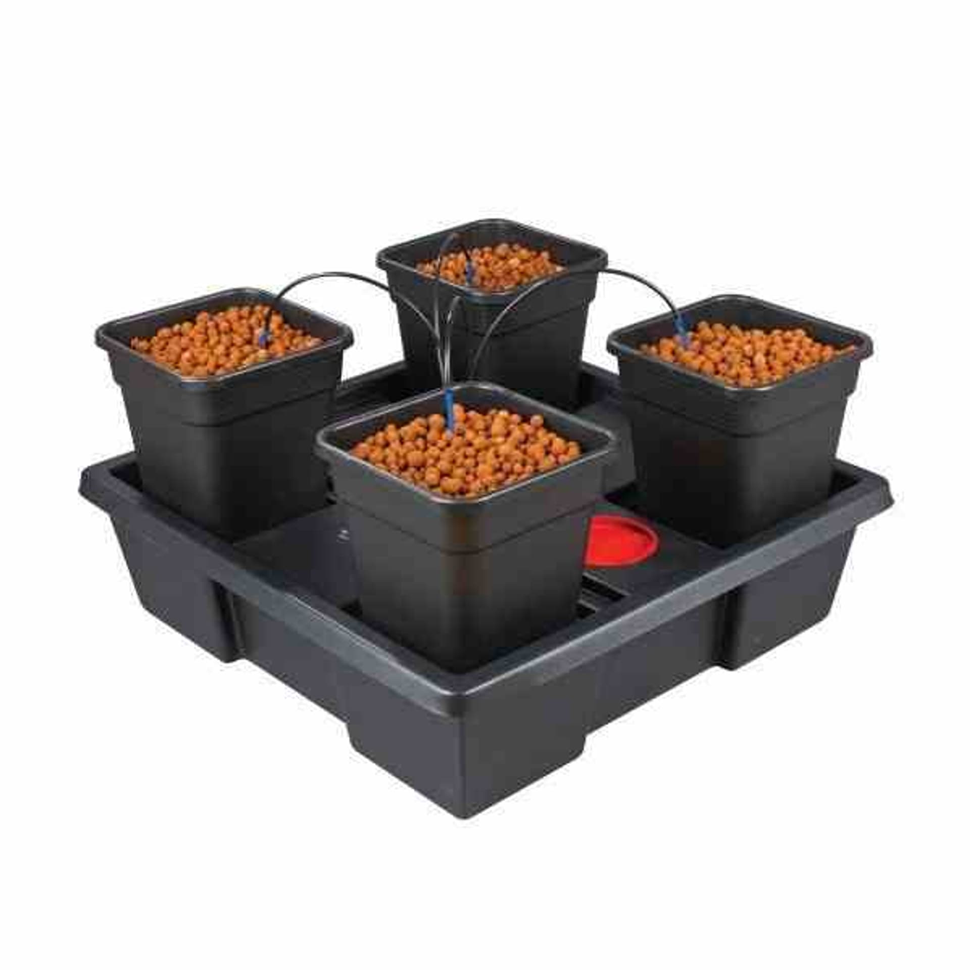 

WILMA XL 4*25L