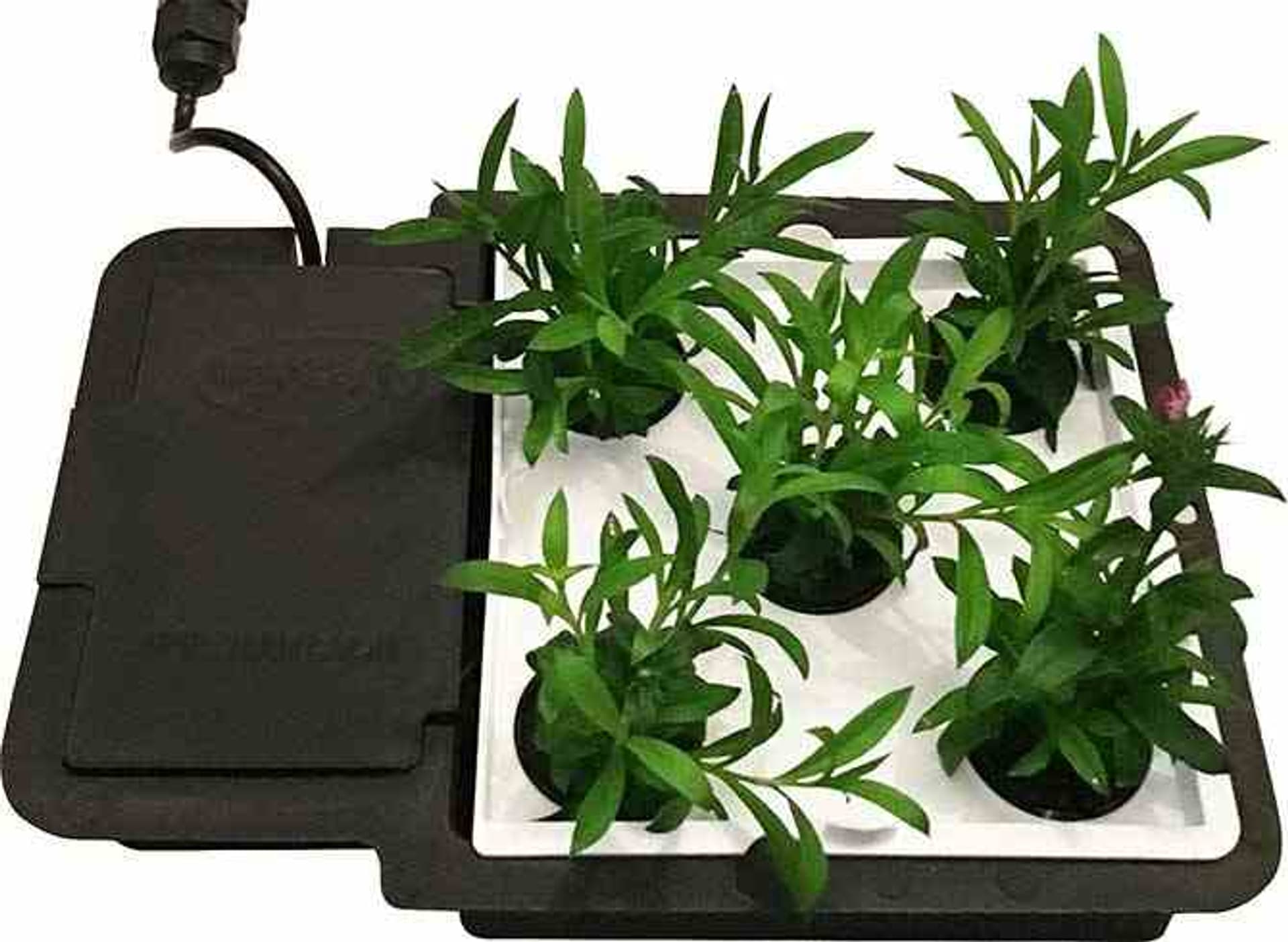 

AUTOPOT TACA AQUAPALTE DO POSTAWY 1POT I EASY2GROW