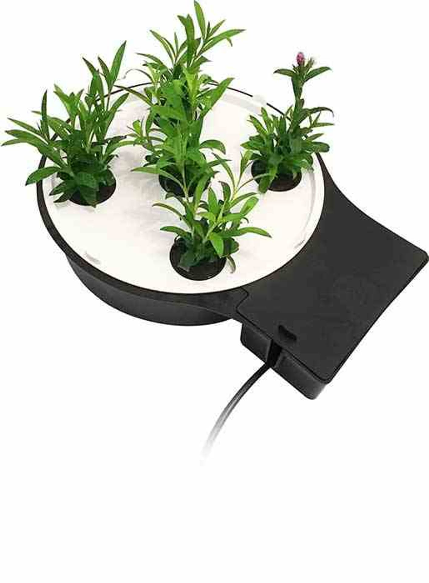 

AUTOPOT TACA AQUAPALTE XL DO PODSTAWY 1POT XL