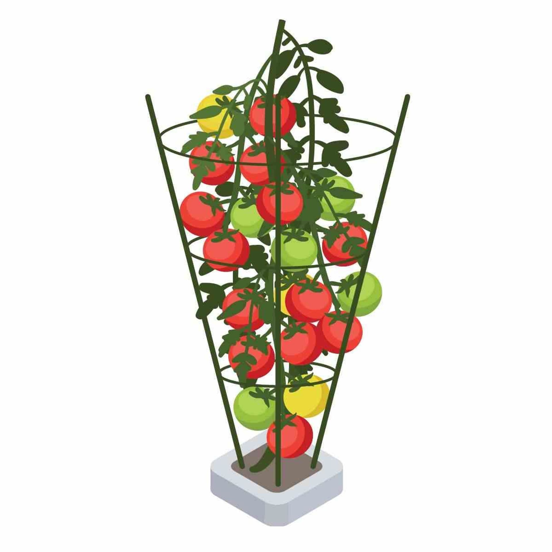 

PLANT SUPPORT 60CM