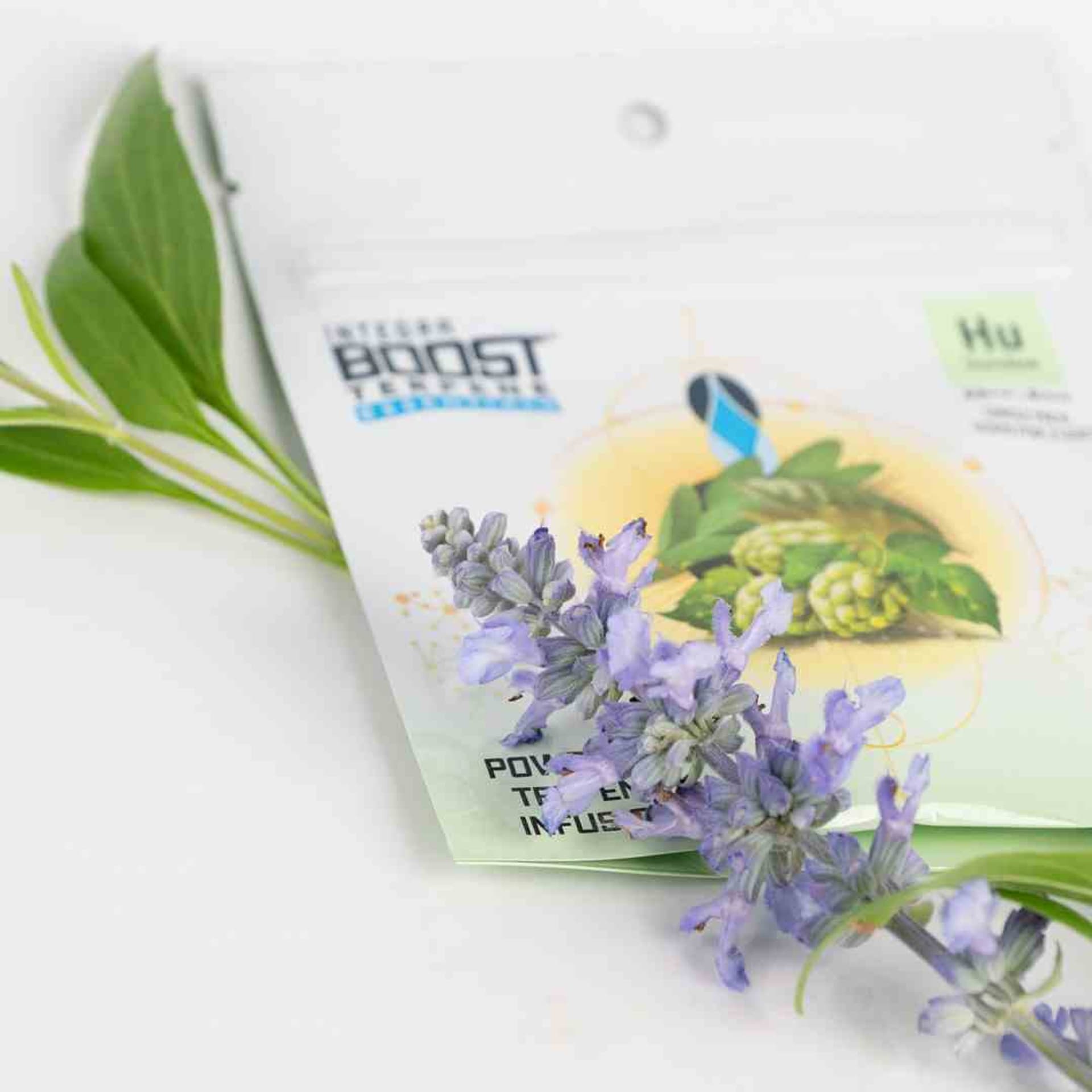 

INTEGRA BOOST TERPENY HUMULENE 4G 62%