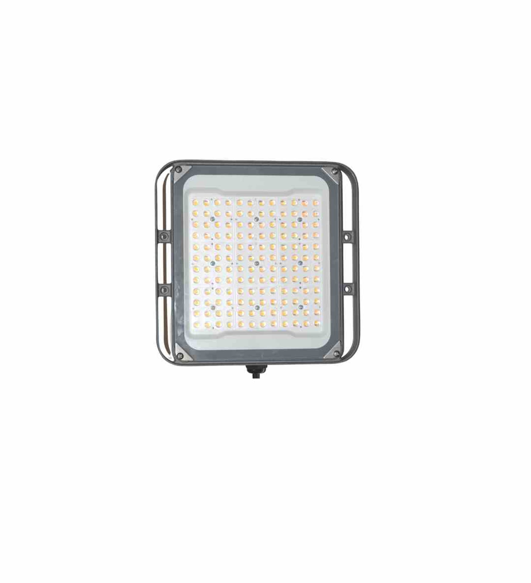

PERFANDLED HORTI 2 SQ 100W