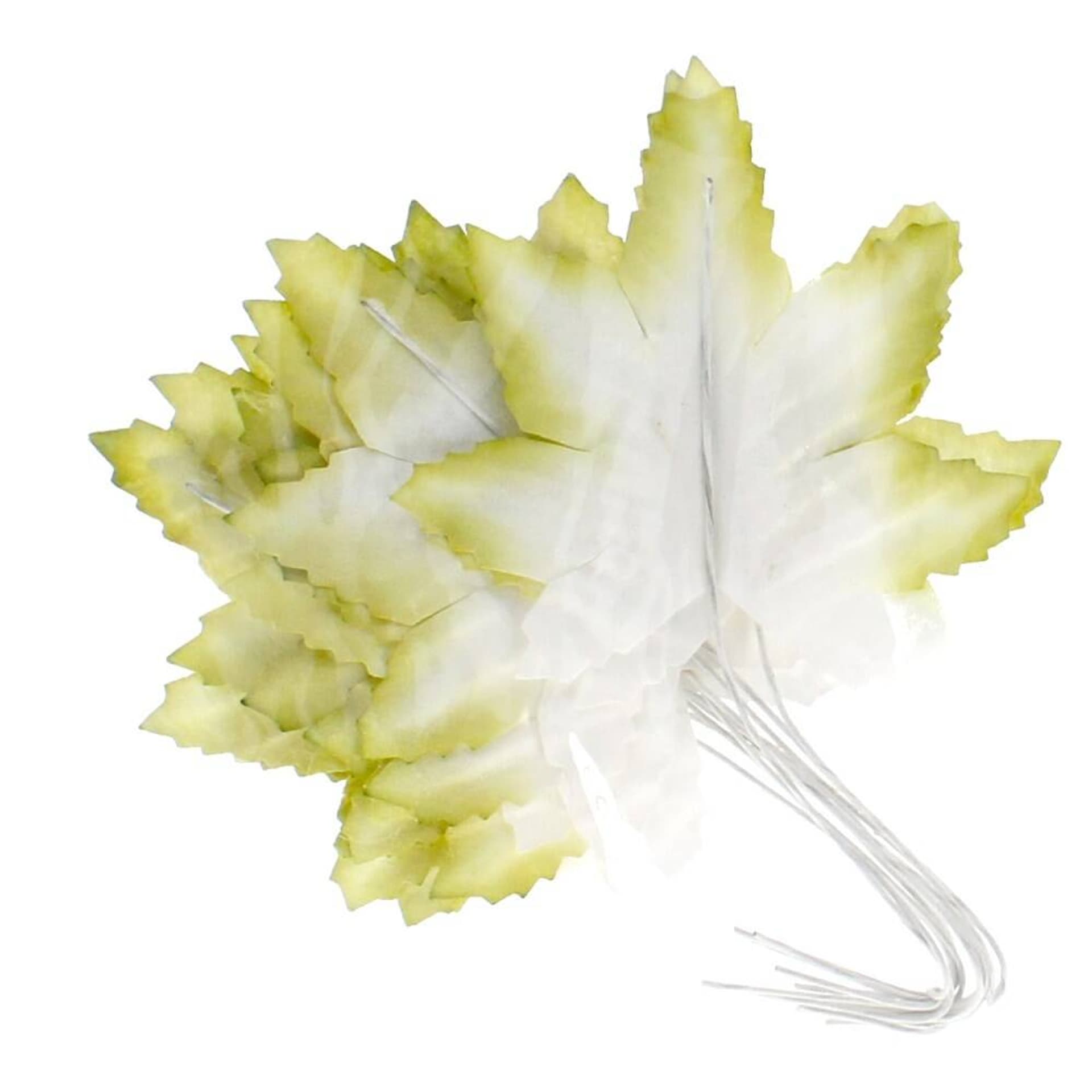 

Ozdoba dekoracyjna drucik Liść zielony j. 4CM CRAFT WITH FUN 463881