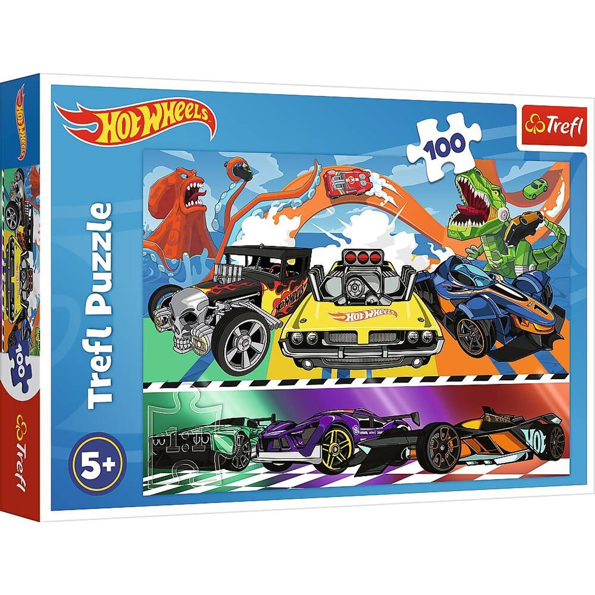 

PĘDZĄCE SAMOCHODY HOT WHEELS *100*