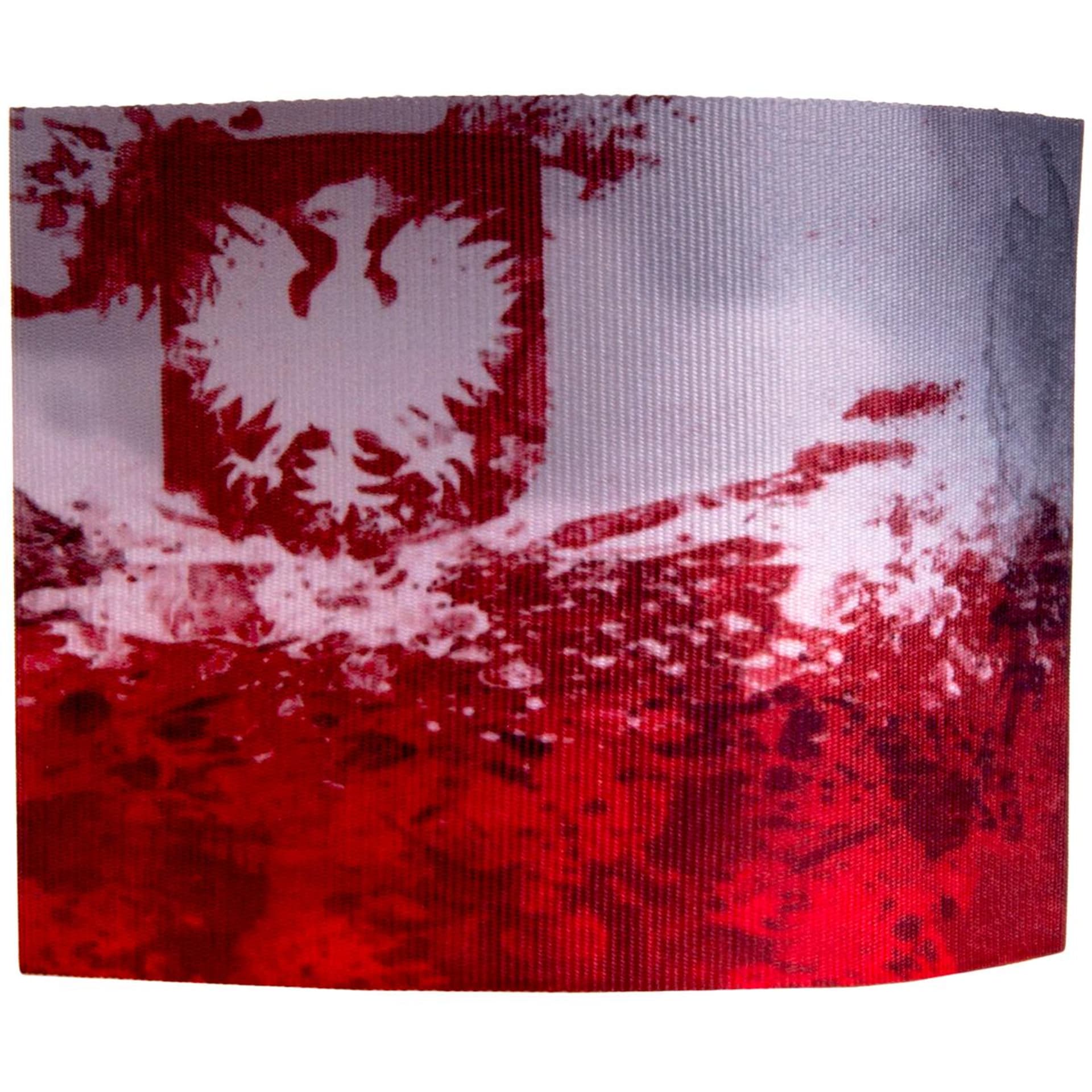 

OPASKA NARODOWA NA RAMIĘ POLSKA ARTYSTYCZNA