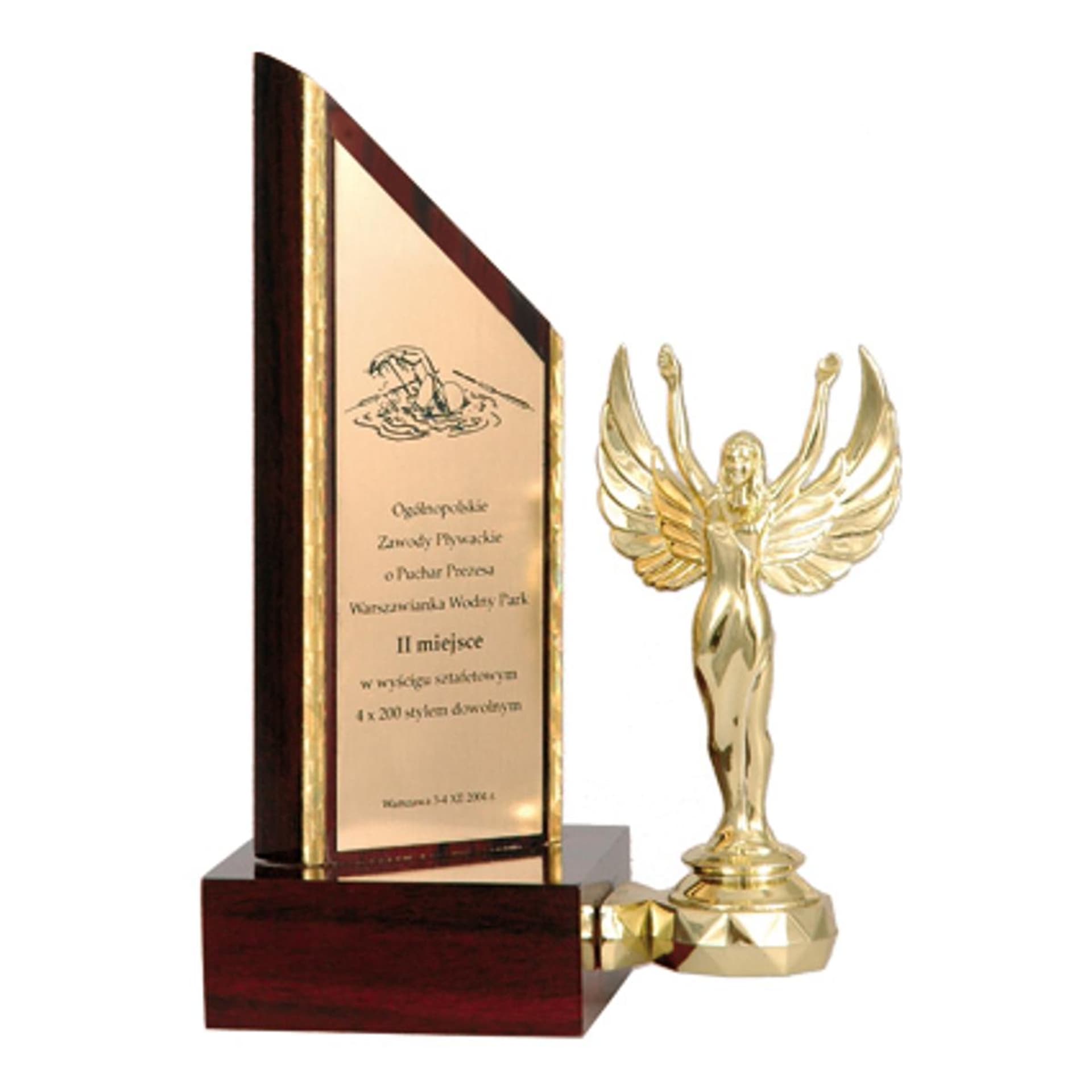 

Trofeum z tworzywa sztucznego grawerowane + F330B